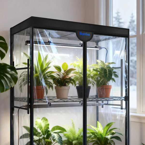 Winter Survival Guide for Indoor Plants