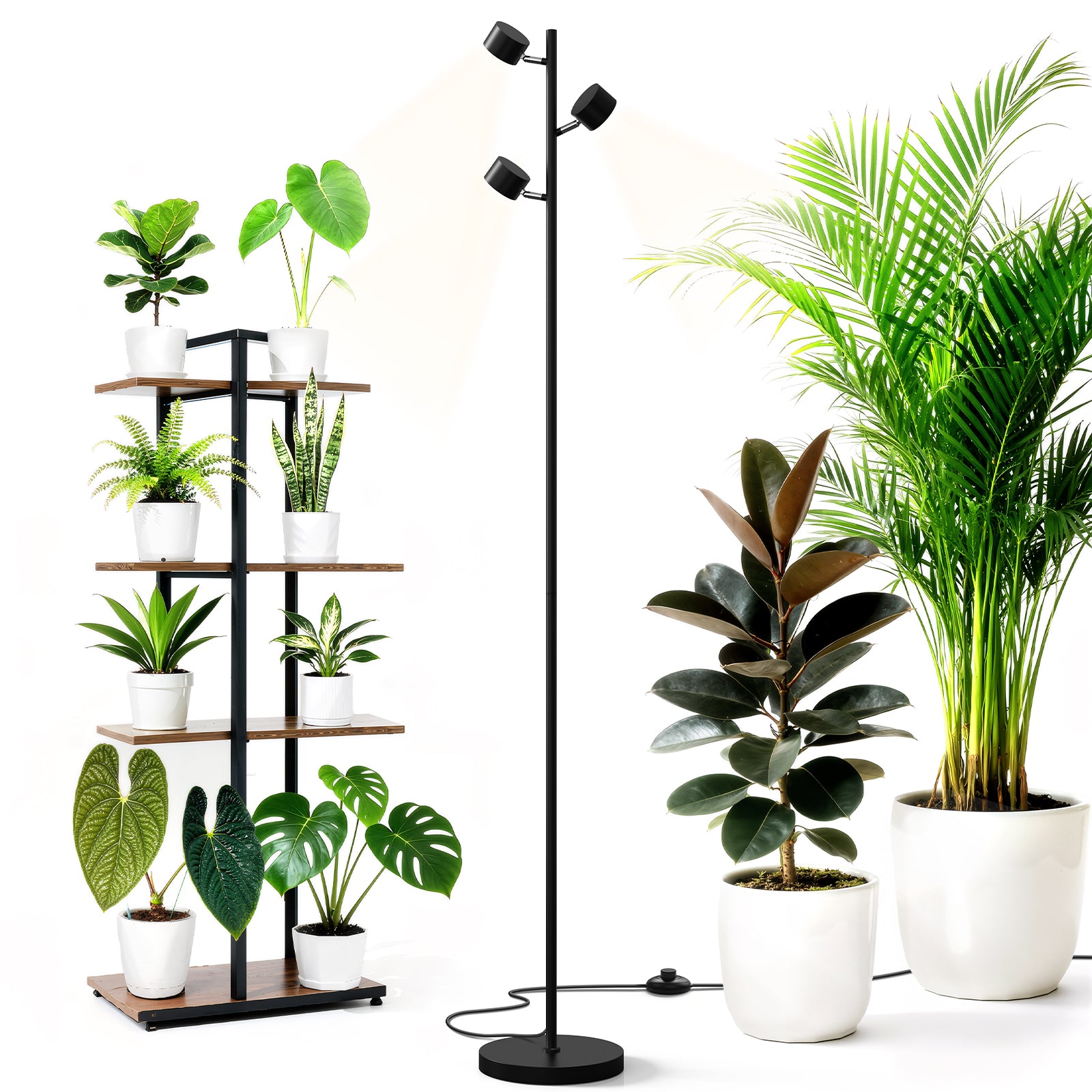 Barrina T1X3 30W LED Standing Grow Light 6FT 5000K | Full Spectrum & Adjustable 3 Heads | T1X3