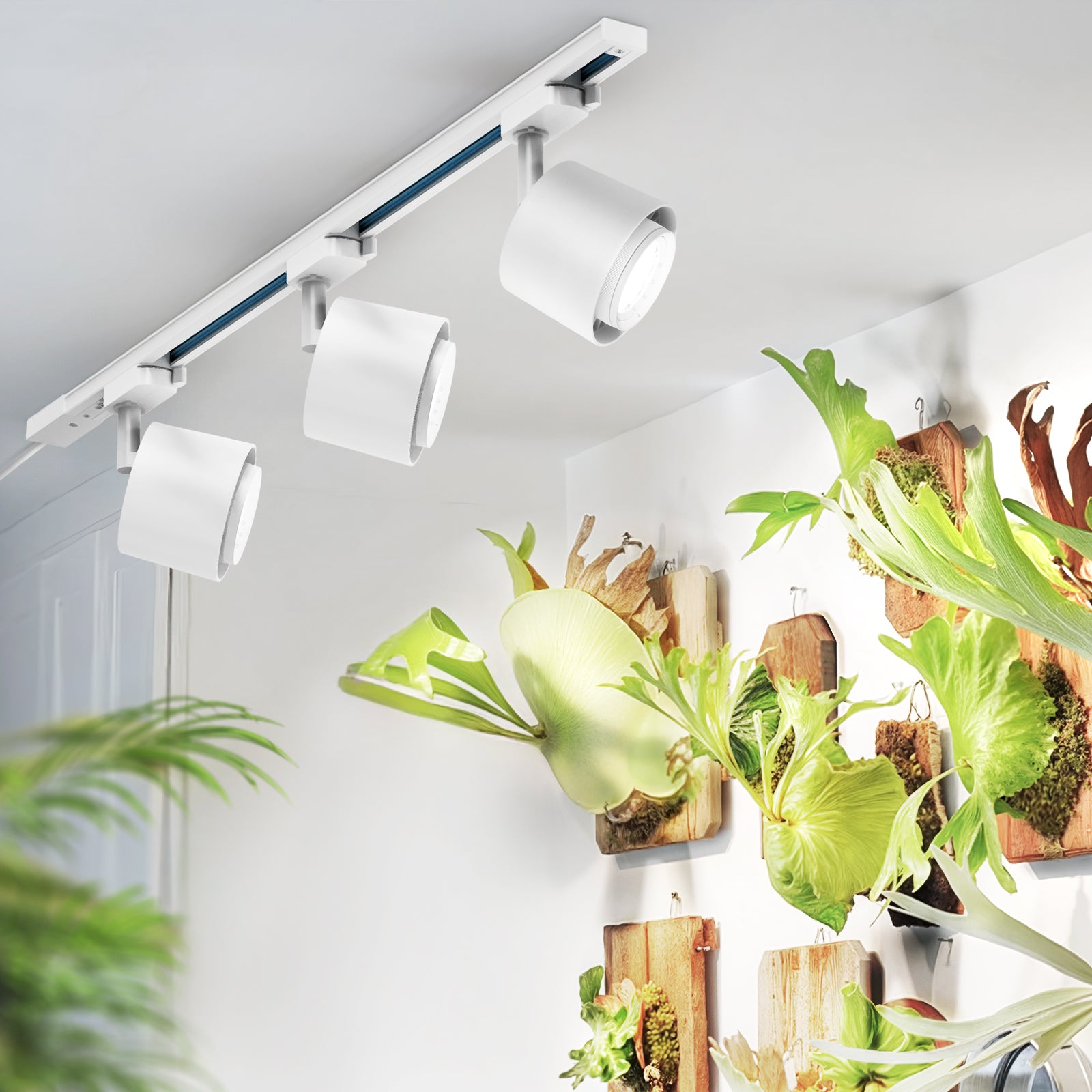 Barrina TR40c 3 x 40W LED Grow Lights 5000K | Full Spectrum, Ceiling Track & Timer | TR-40c