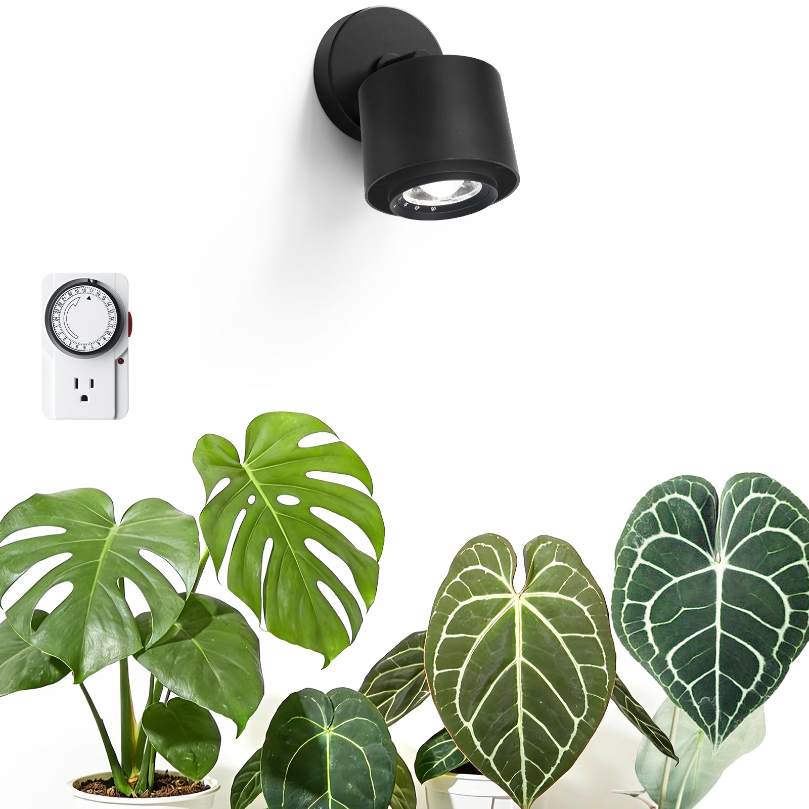 Barrina TR40a 40W LED Grow Lights 5000K | Full Spectrum, Mounted & Timer | TR40a (Black)