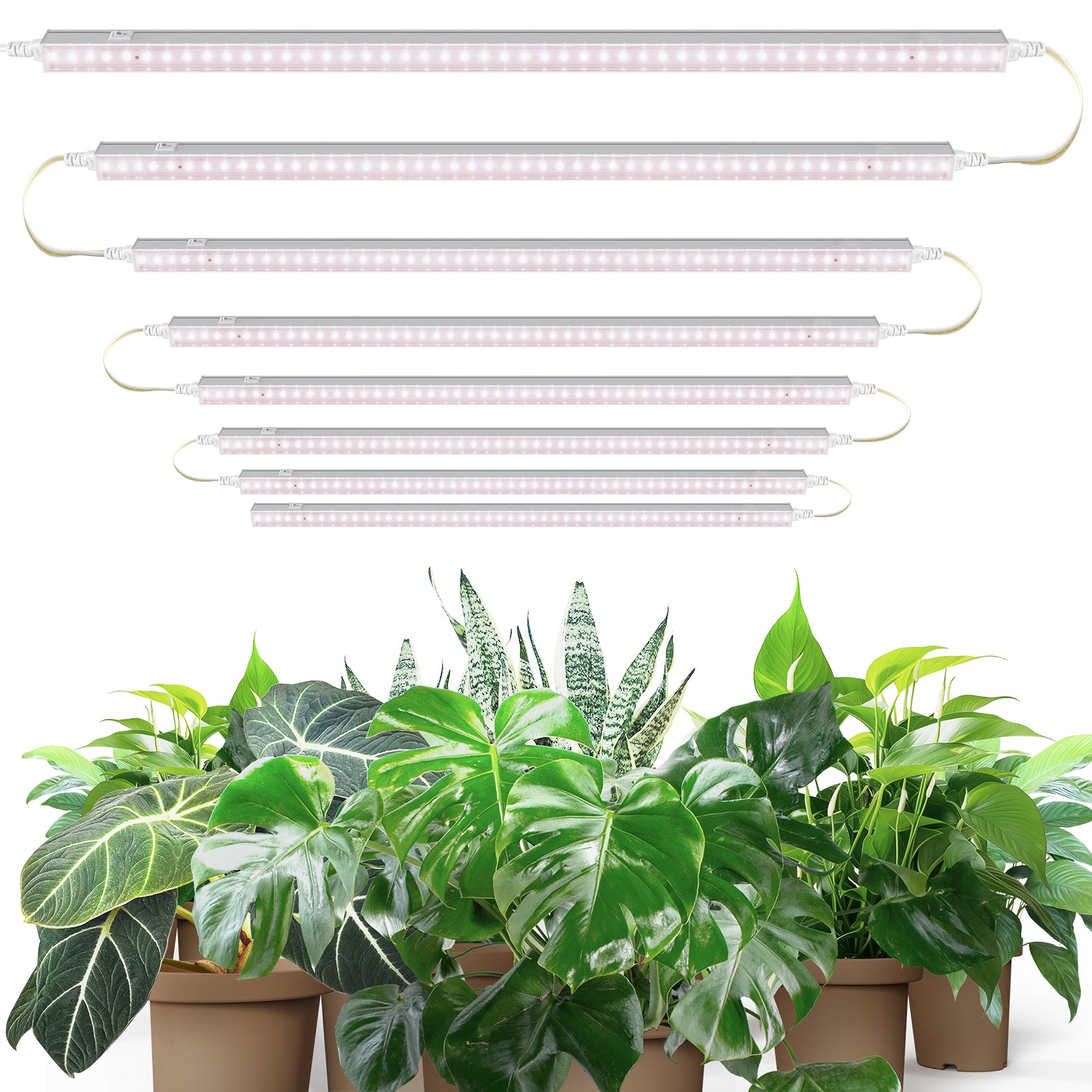 Barrina T5 10W LED Grow Lights 2FT Pinkish White 8 Pack | Linkable | MF10