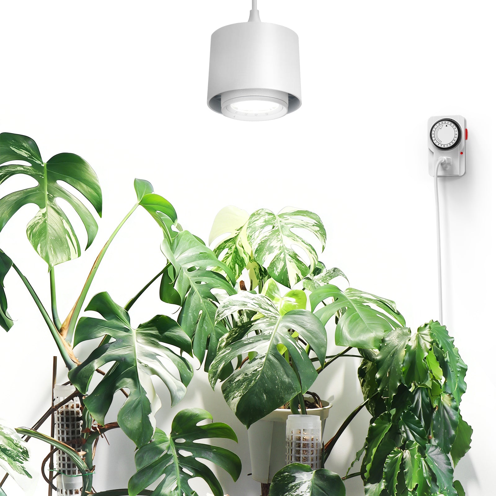 Barrina TR40 40W LED Grow Lights 5000K | Full Spectrum, Hanging & Timer | TR40 (White)