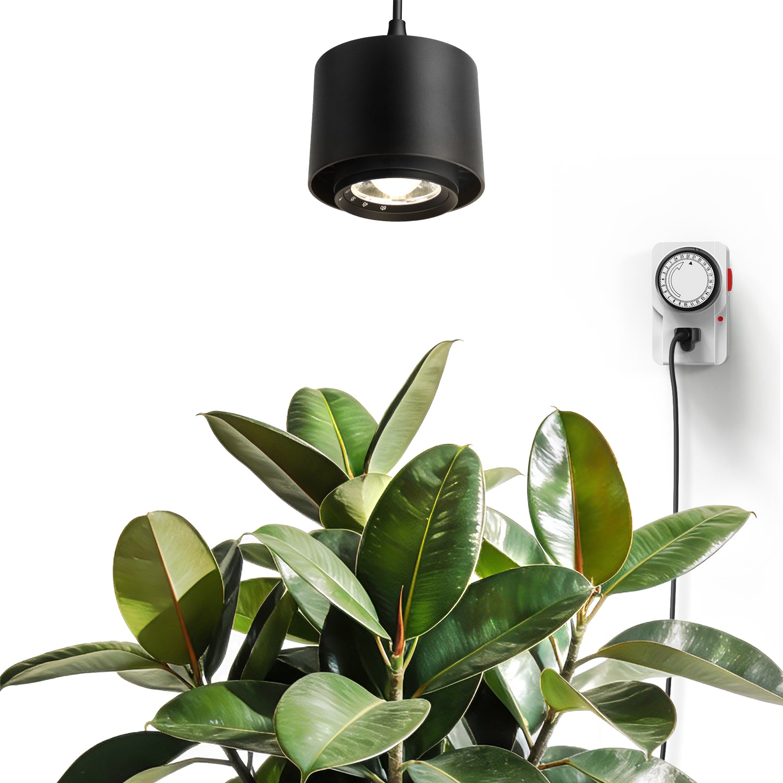 Barrina TR40 40W LED Grow Lights 4000K | Full Spectrum, Hanging & Timer | TR40 (Black)