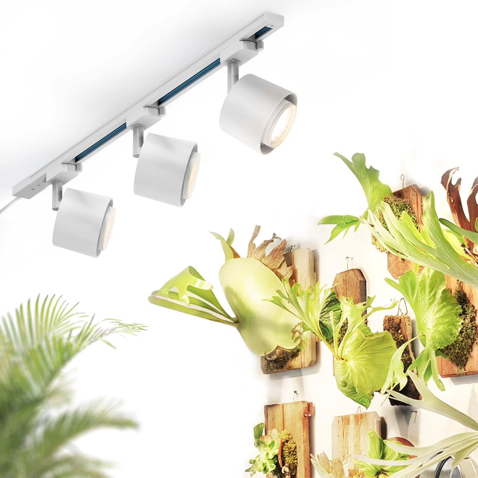 Barrina TR40c 3 x 40W LED Track Grow Lights 4000K | Full Spectrum, Ceiling Track & Timer | TR40c (White)