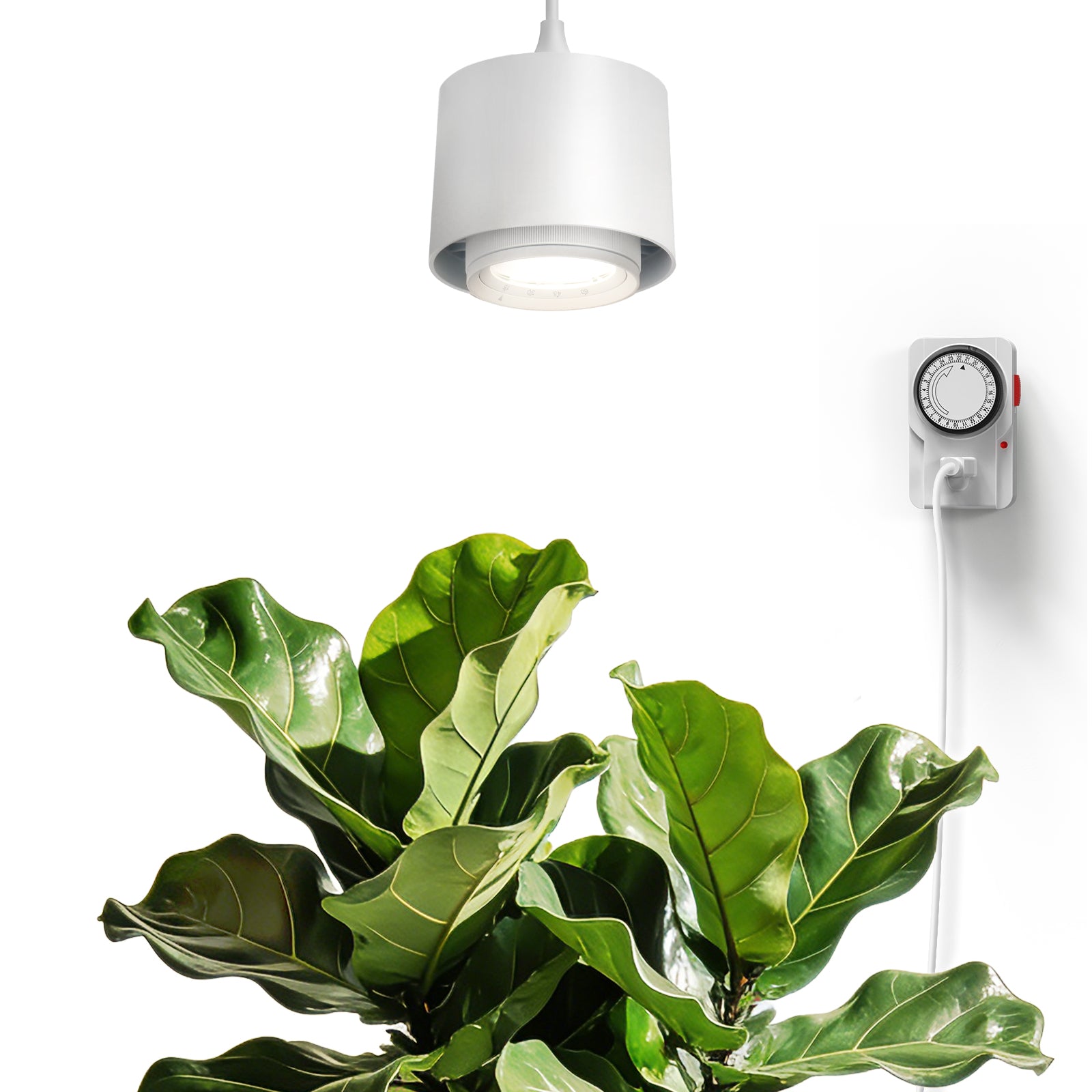 Barrina TR40 40W LED Grow Lights 4000K | Full Spectrum, Hanging & Timer | TR40 (White)