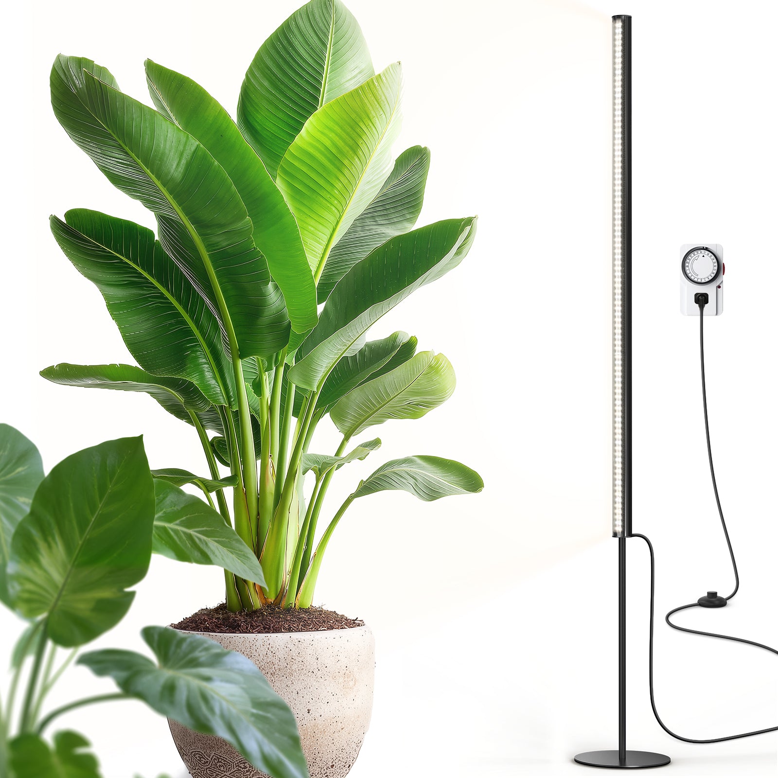 Barrina T1S 65W LED Standing Grow Light 5FT-5.6FT 5000K | Full Spectrum & Timer | K10R65