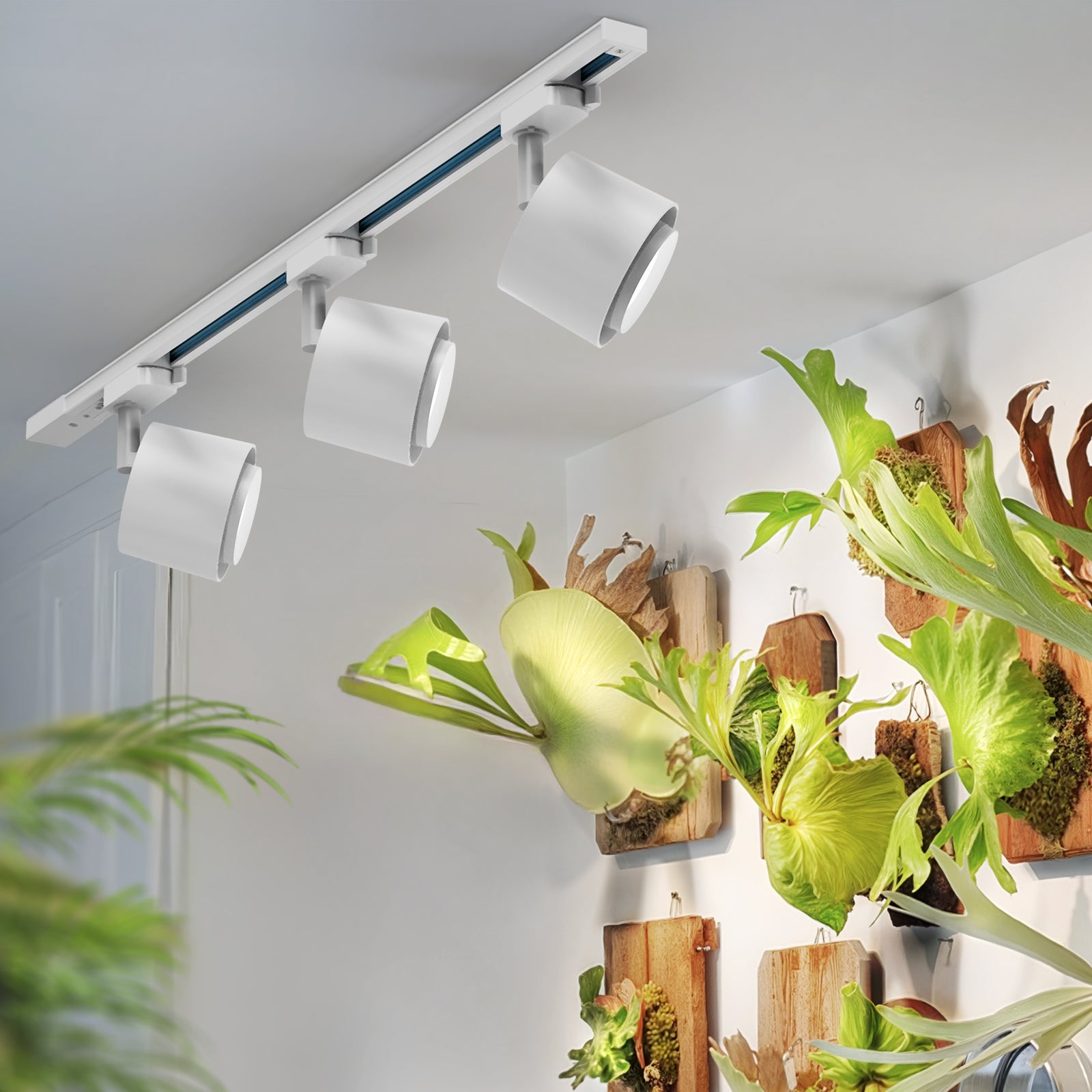 Barrina TR40c 3 x 40W LED Grow Lights 5000K | Full Spectrum, Ceiling Track & Timer | TR-40c