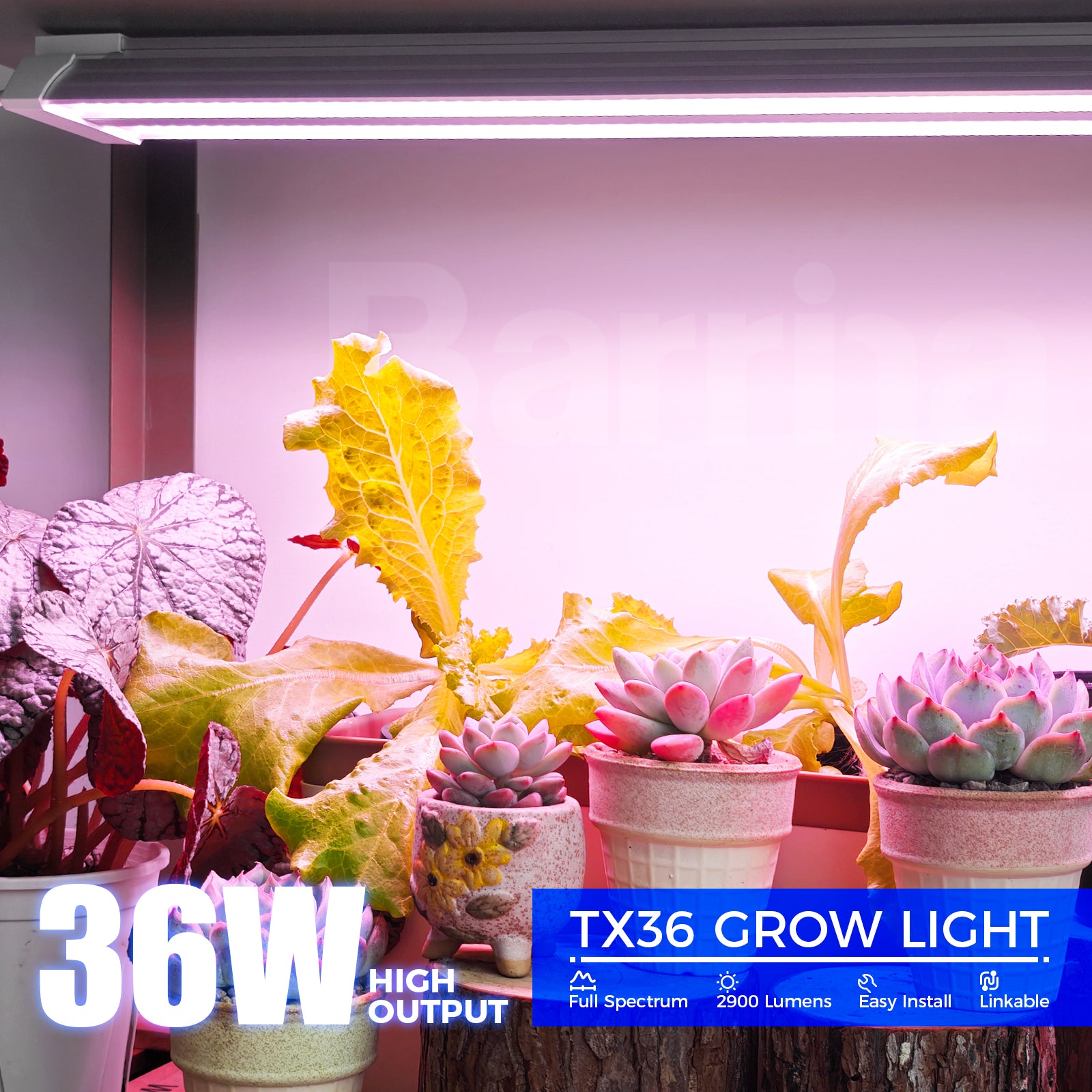 Barrina TX36 36W LED Grow Lights 2FT Purple Light | Full Spectrum & Linkable | TX-36