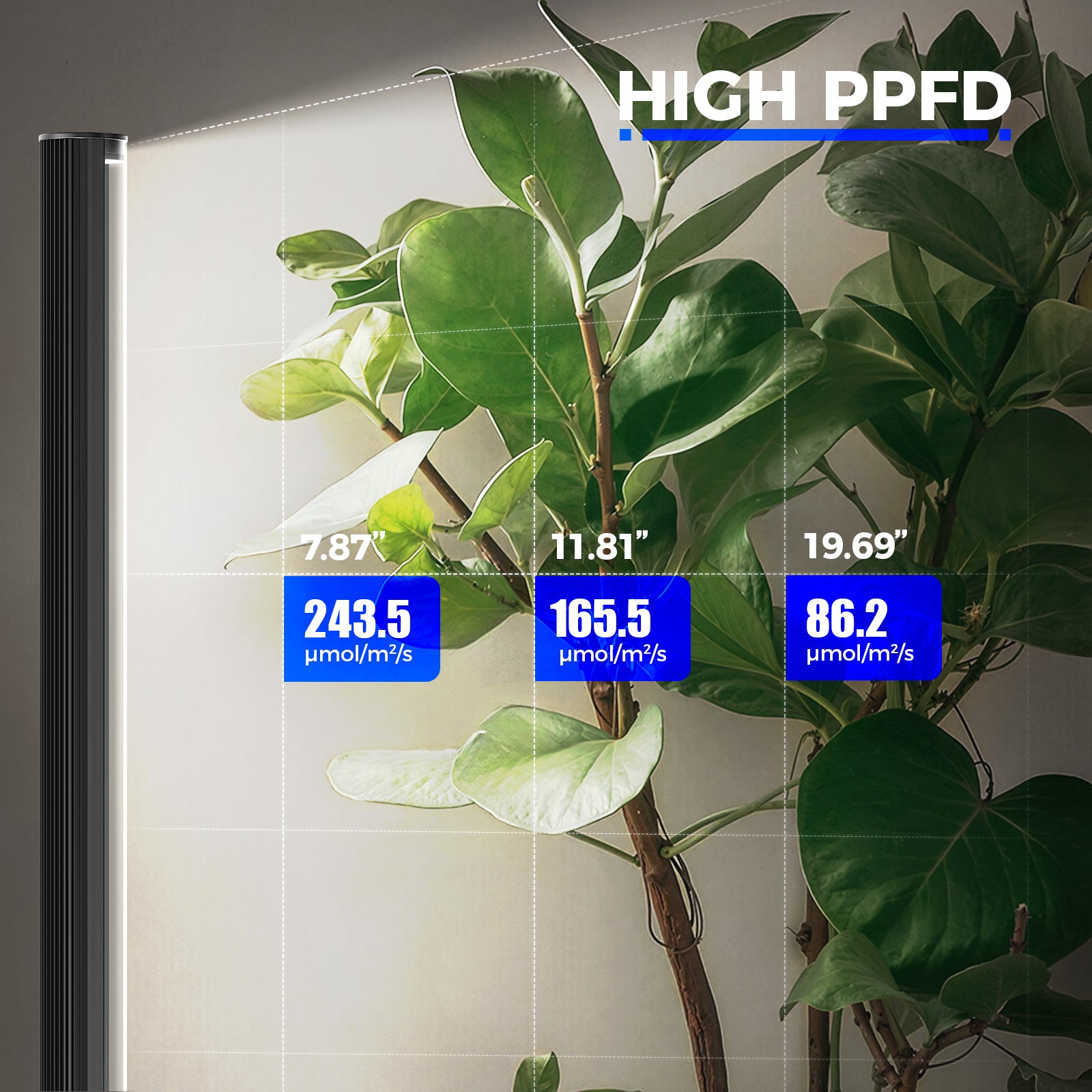 Barrina T1S 65W LED Standing Grow Light 5FT-5.6FT 5000K | Full Spectrum & Timer | K10R65