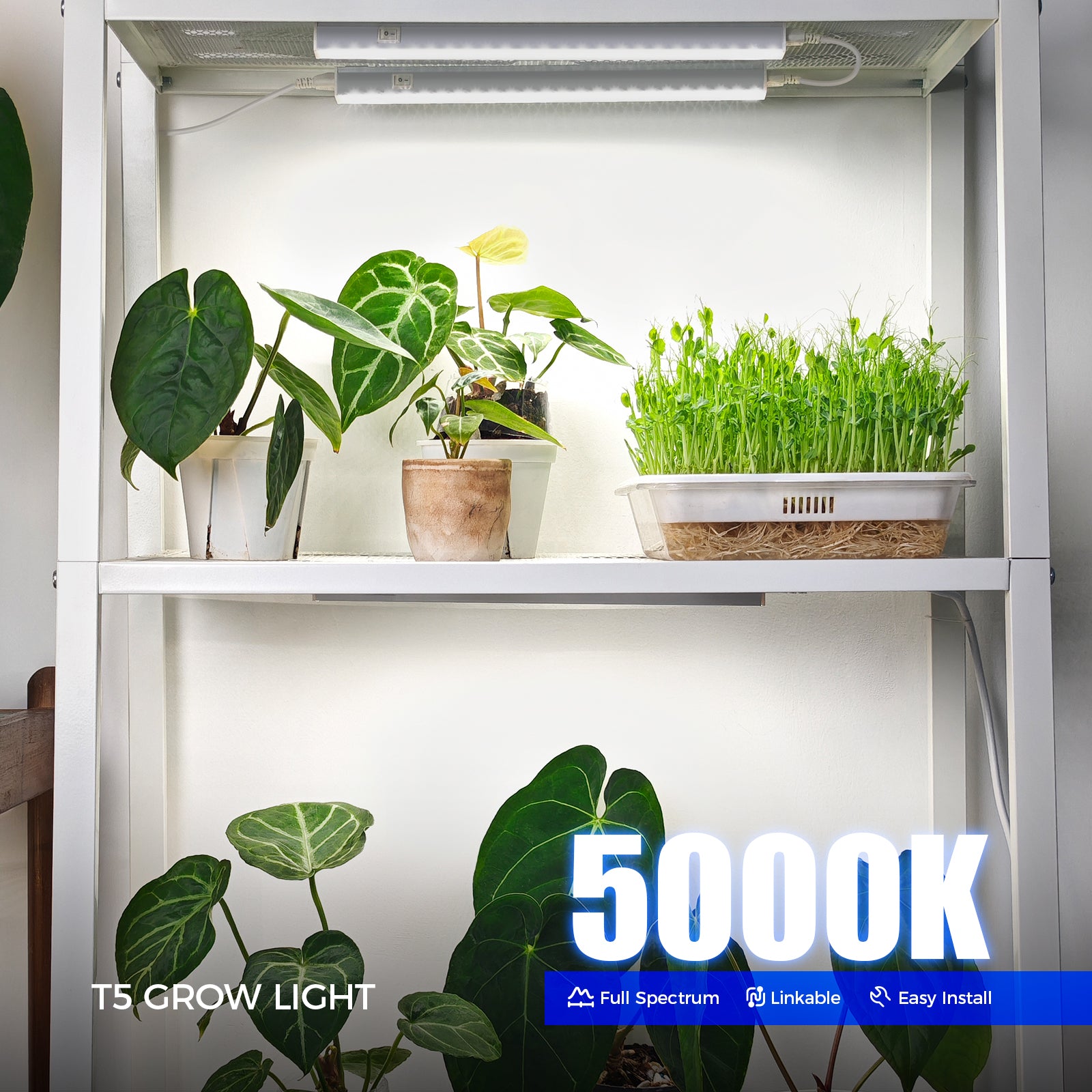 Barrina T5 5W LED Grow Lights 1FT 5000K | Full Specturm & Linkable | MC05