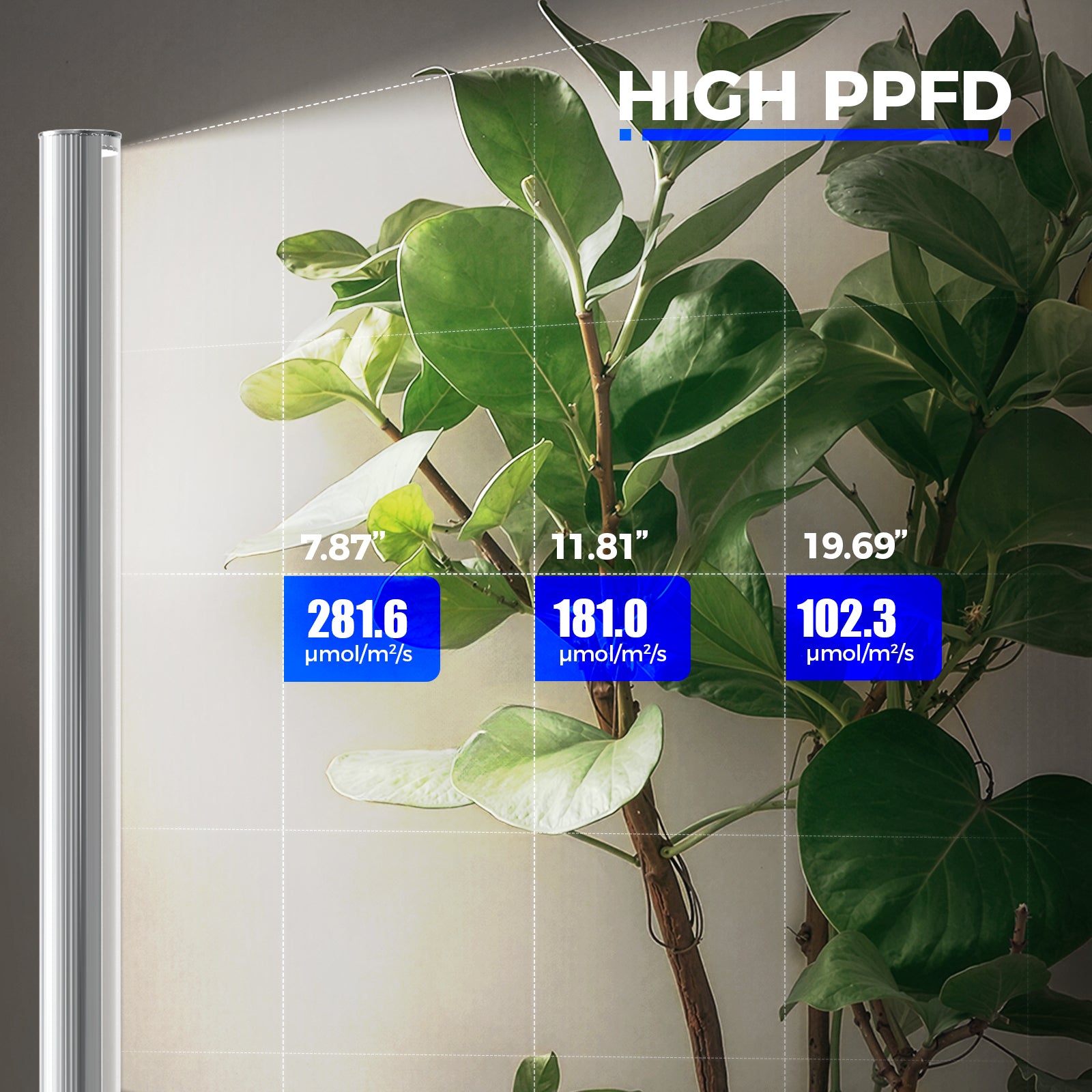 Barrina T1S 65W LED Standing Grow Light 5FT-5.6FT 5000K | Full Spectrum & Timer | K10R65