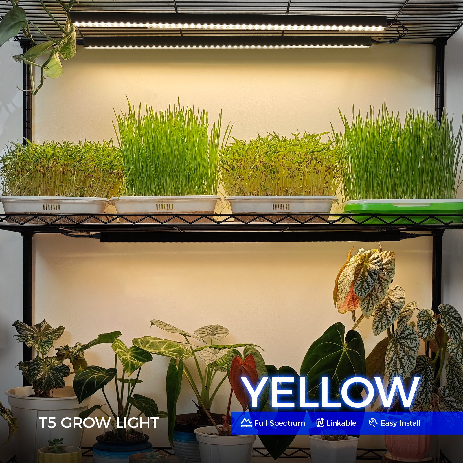 Barrina T5 10W LED Grow Lights 2FT Yellow Light | Magnetic Installation & Linkable | NF10