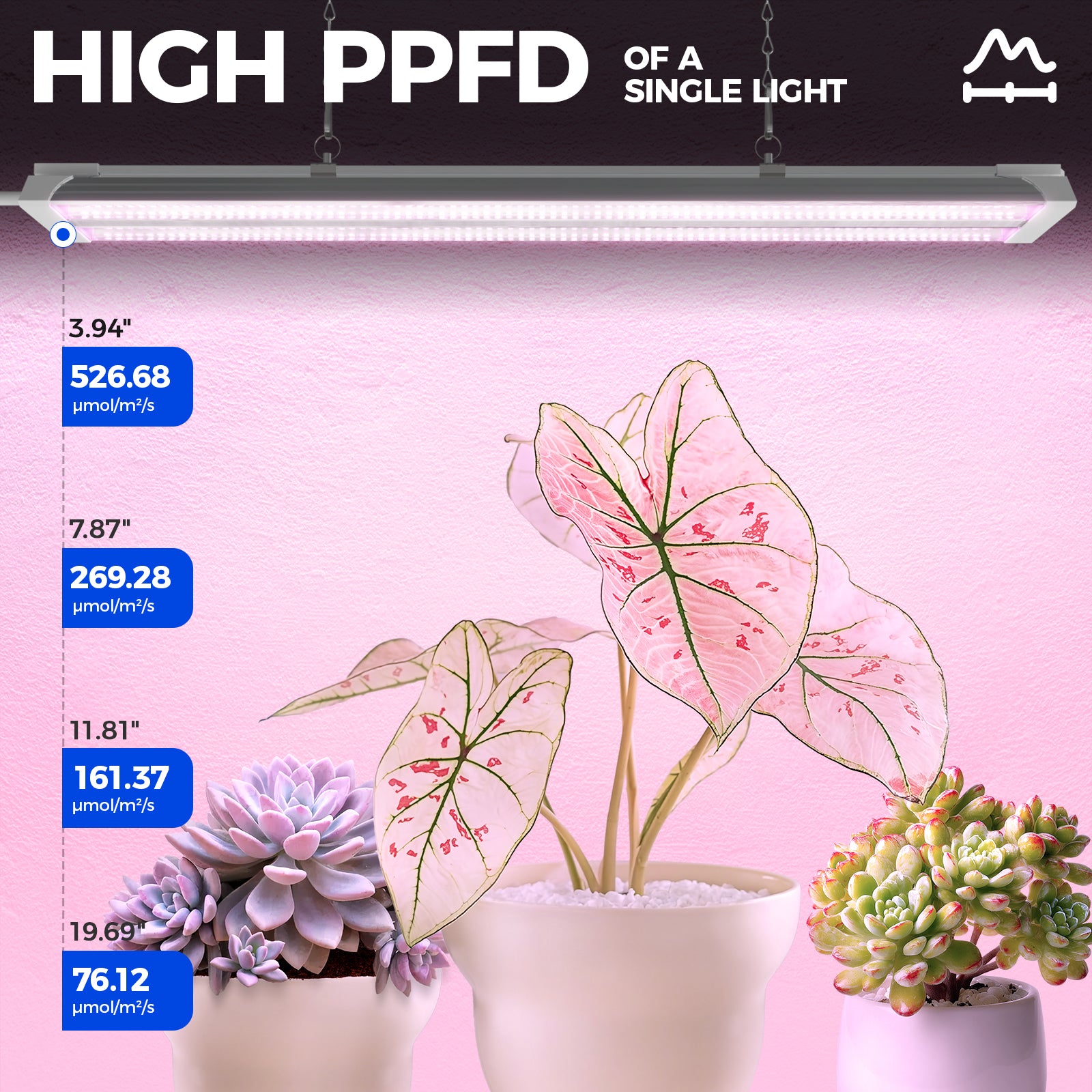 Barrina TX36 36W LED Grow Lights 2FT Purple Light | Full Spectrum & Linkable | TX-36