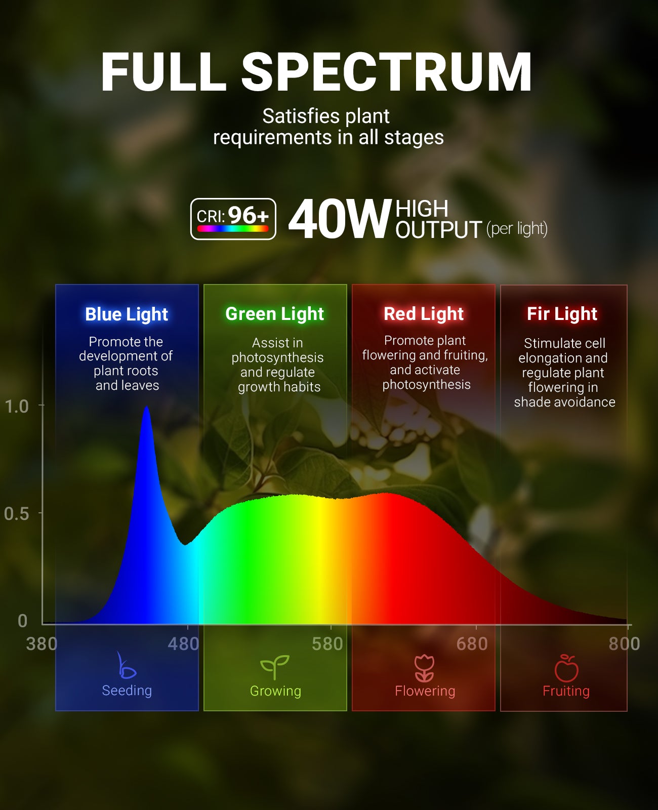 Barrina TR40a 40W LED Grow Lights 5000K | Full Spectrum, Mounted & Timer | TR40a (Black)