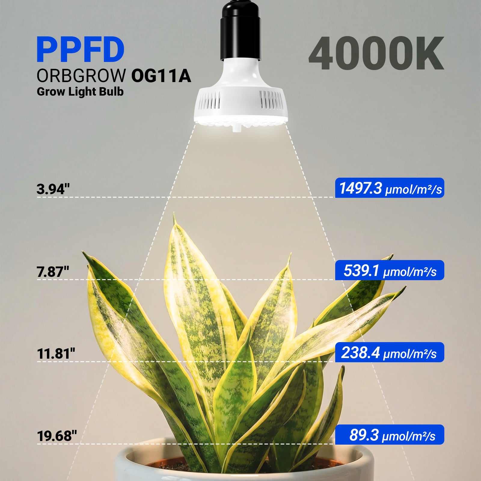 Barrina Orbgrow 2 x 11W Clip-On LED Grow Lights 4000K | Full Spectrum, Dimmable & Timing | OG11A