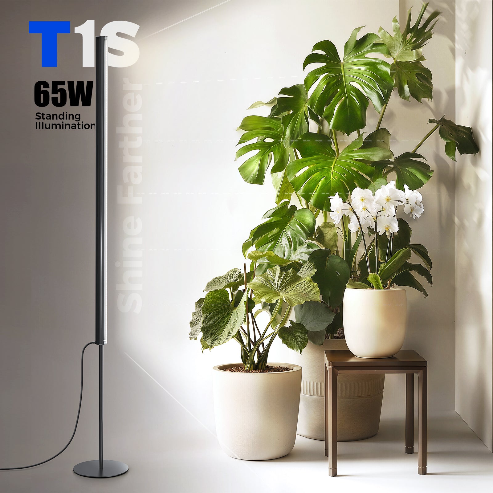 Barrina T1S 65W LED Standing Grow Light 5FT-5.6FT 5000K | Full Spectrum & Timer | K10R65
