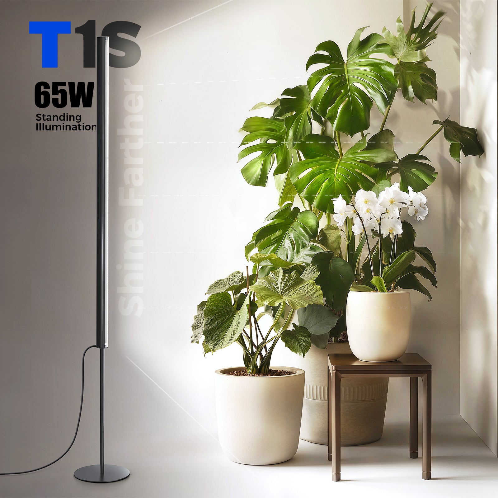 Barrina T1S 65W LED Standing Grow Light 5FT-5.6FT 5000K | Full Spectrum & Timer | K10R65