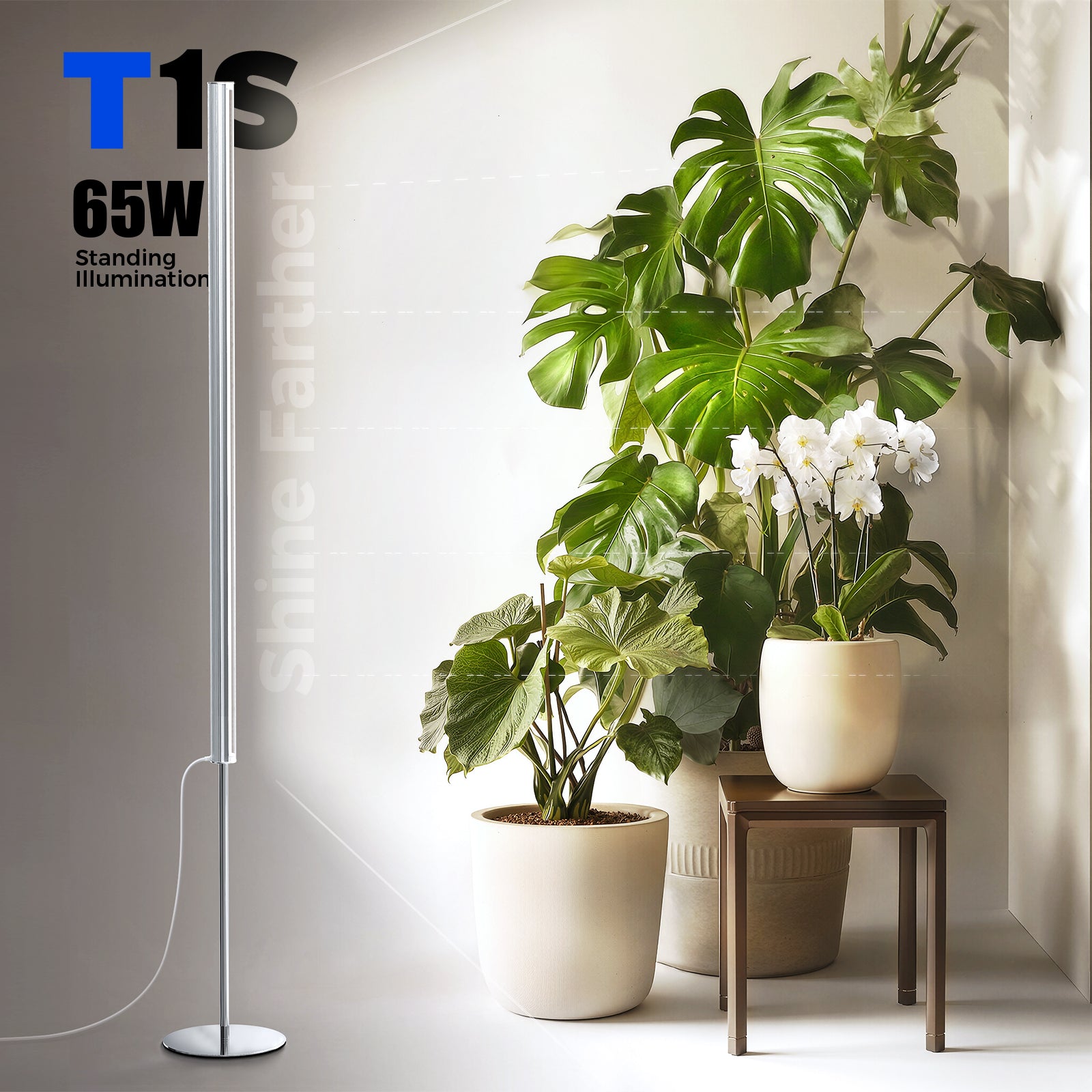Barrina T1S 65W LED Standing Grow Light 5FT-5.6FT 5000K | Full Spectrum & Timer | K10R65