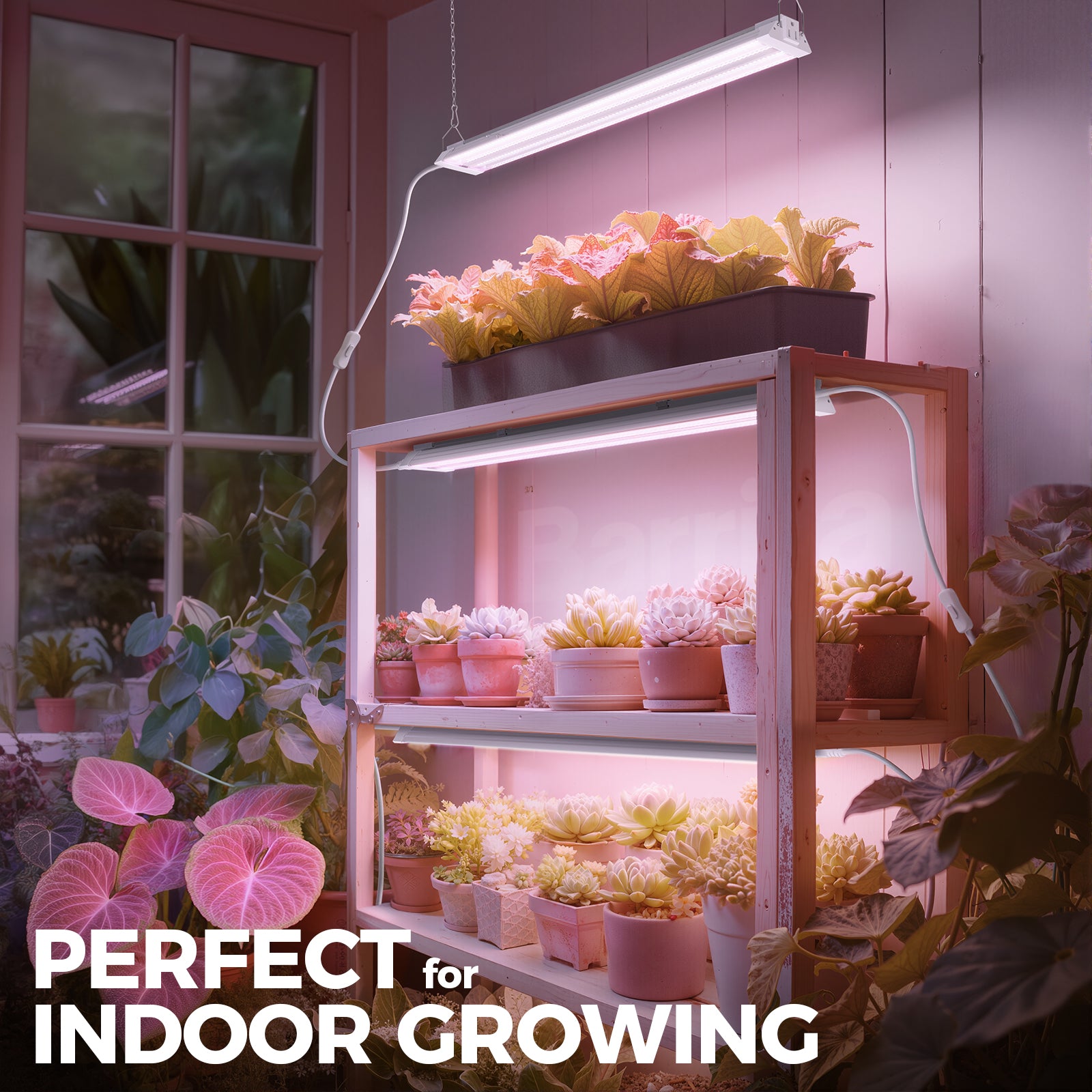 Barrina TX36 36W LED Grow Lights 2FT Purple Light | Full Spectrum & Linkable | TX-36