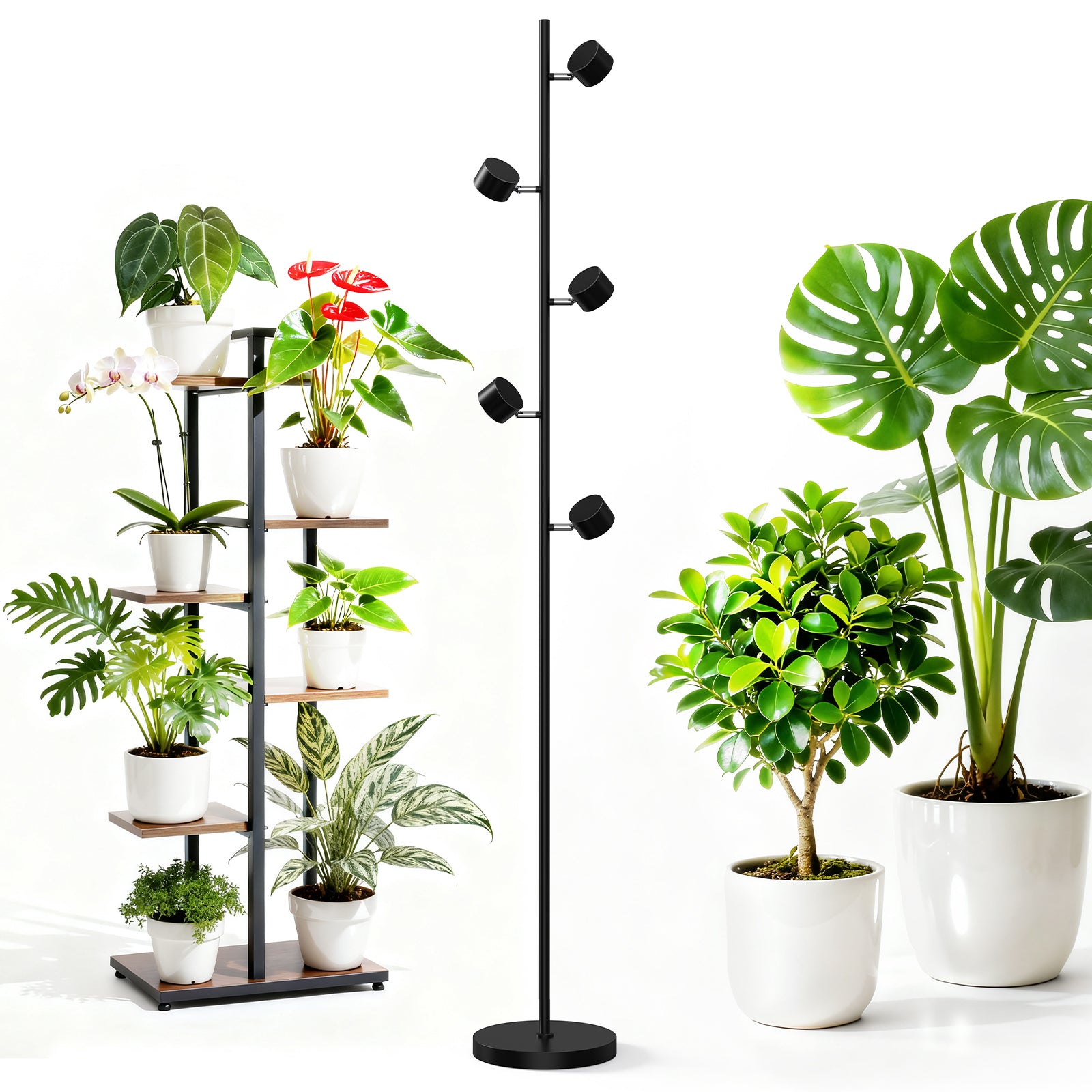 Barrina T1X5 50W LED Standing Grow Light 6FT 5000K | Full Spectrum & Adjustable 5 Heads | T1X5