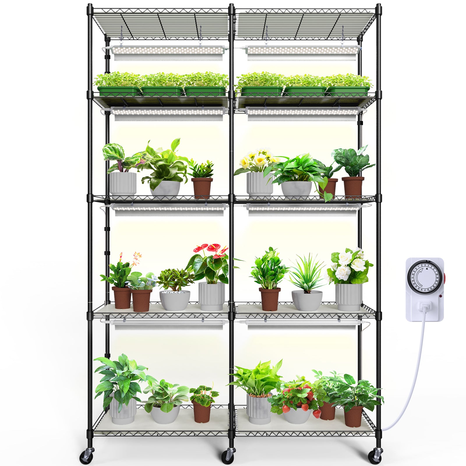 Barrina 5-Tier Plant Stand with 8-Pack T5 20W LED Grow Lights 1.6FT 5000K | Full Spectrum & Timer | WE20
