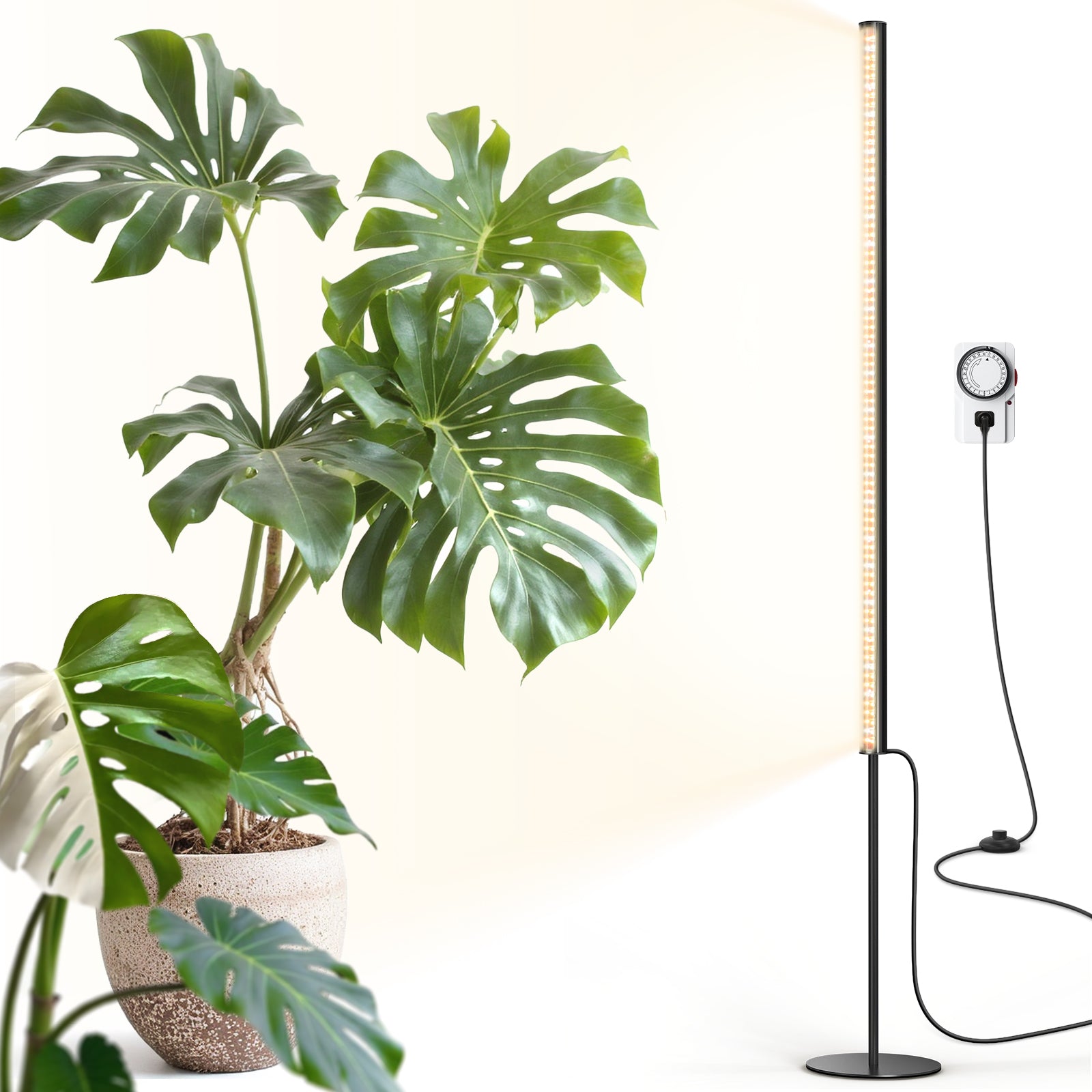 Barrina T1S 65W LED Standing Grow Light 5FT-5.6FT 3000K+6500K+660nm | Full Spectrum & Timer | K10R65