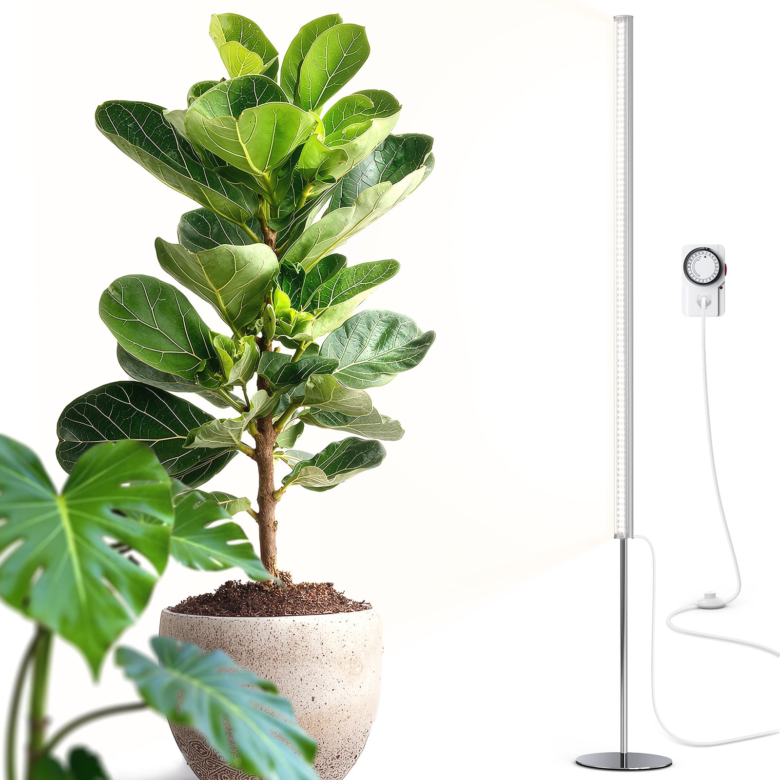 Barrina T1S 65W LED Standing Grow Light 5FT-5.6FT 5000K | Full Spectrum & Timer | K10R65