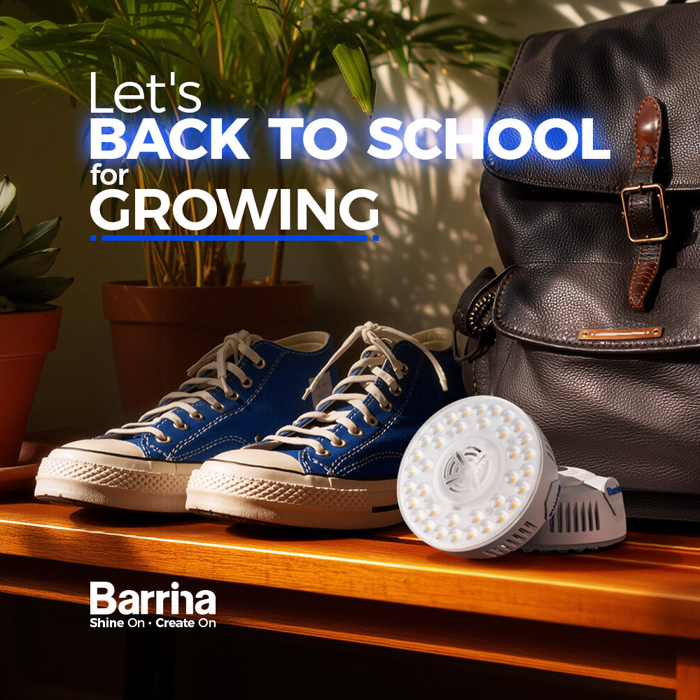 Grow Lights for Indoor Plants | Barrina X Back To School
