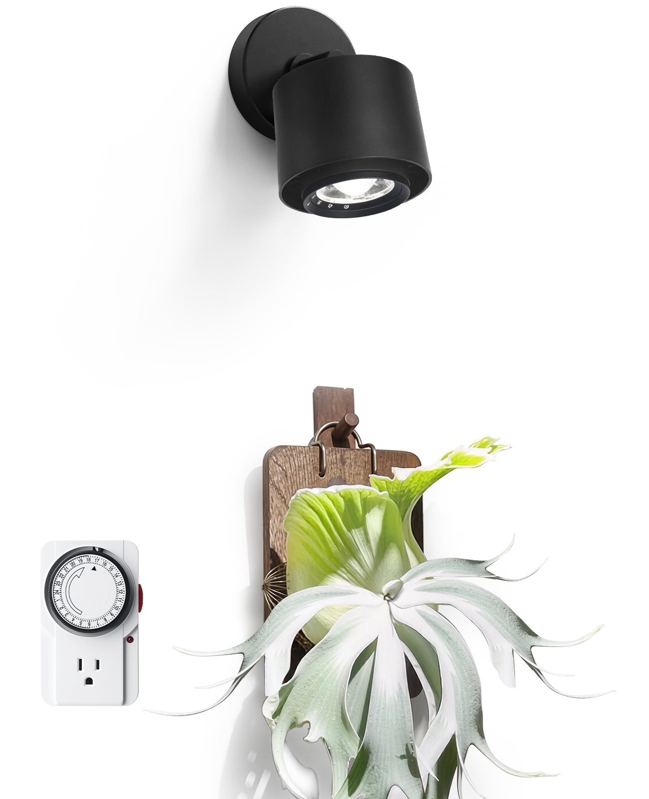 Barrina TR40a 40W LED Grow Lights 5000K | Full Spectrum, Mounted & Timer | TR40a (Black)