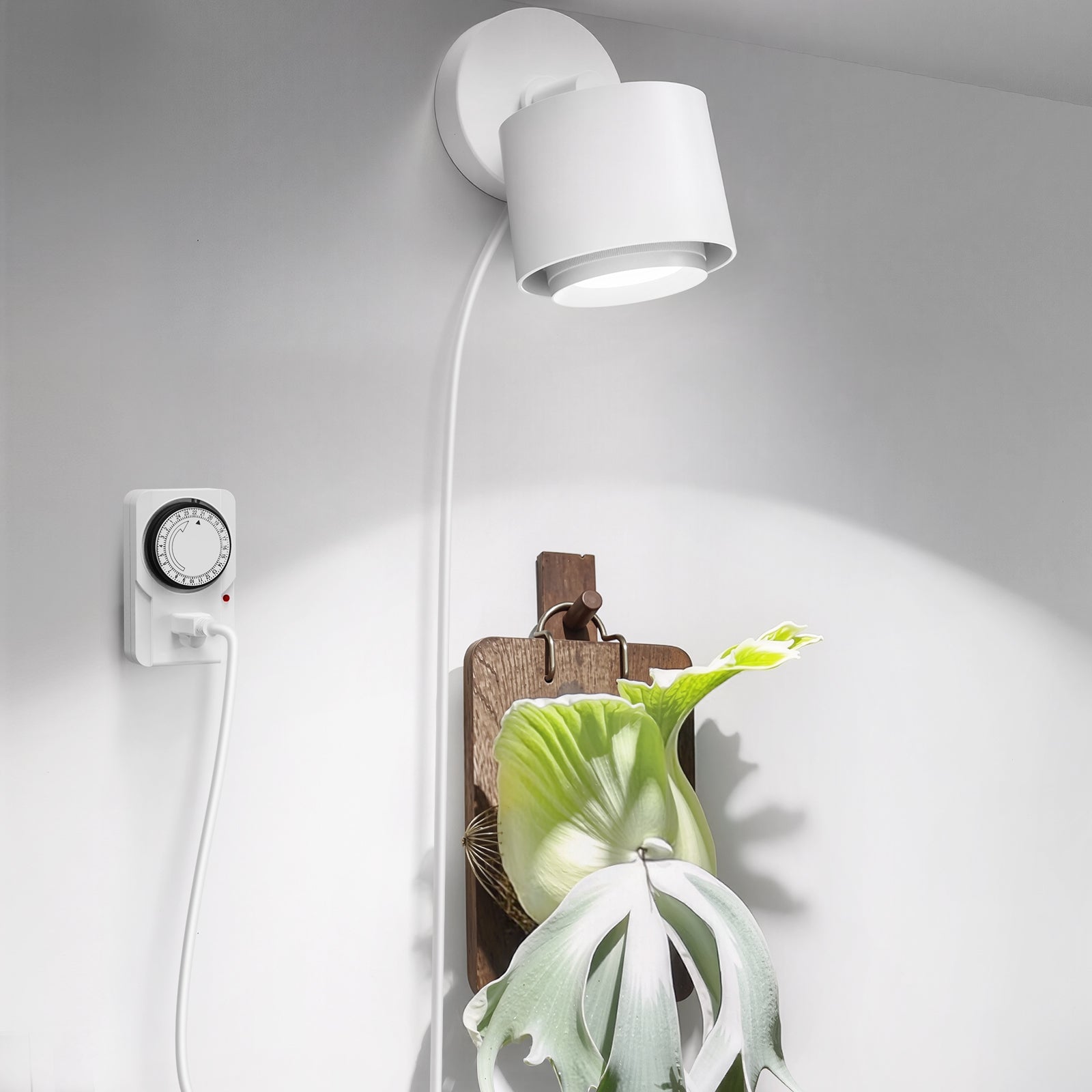 Barrina TR40a 40W LED Grow Lights 5000K | Full Spectrum, Mounted & Timer | TR-40a