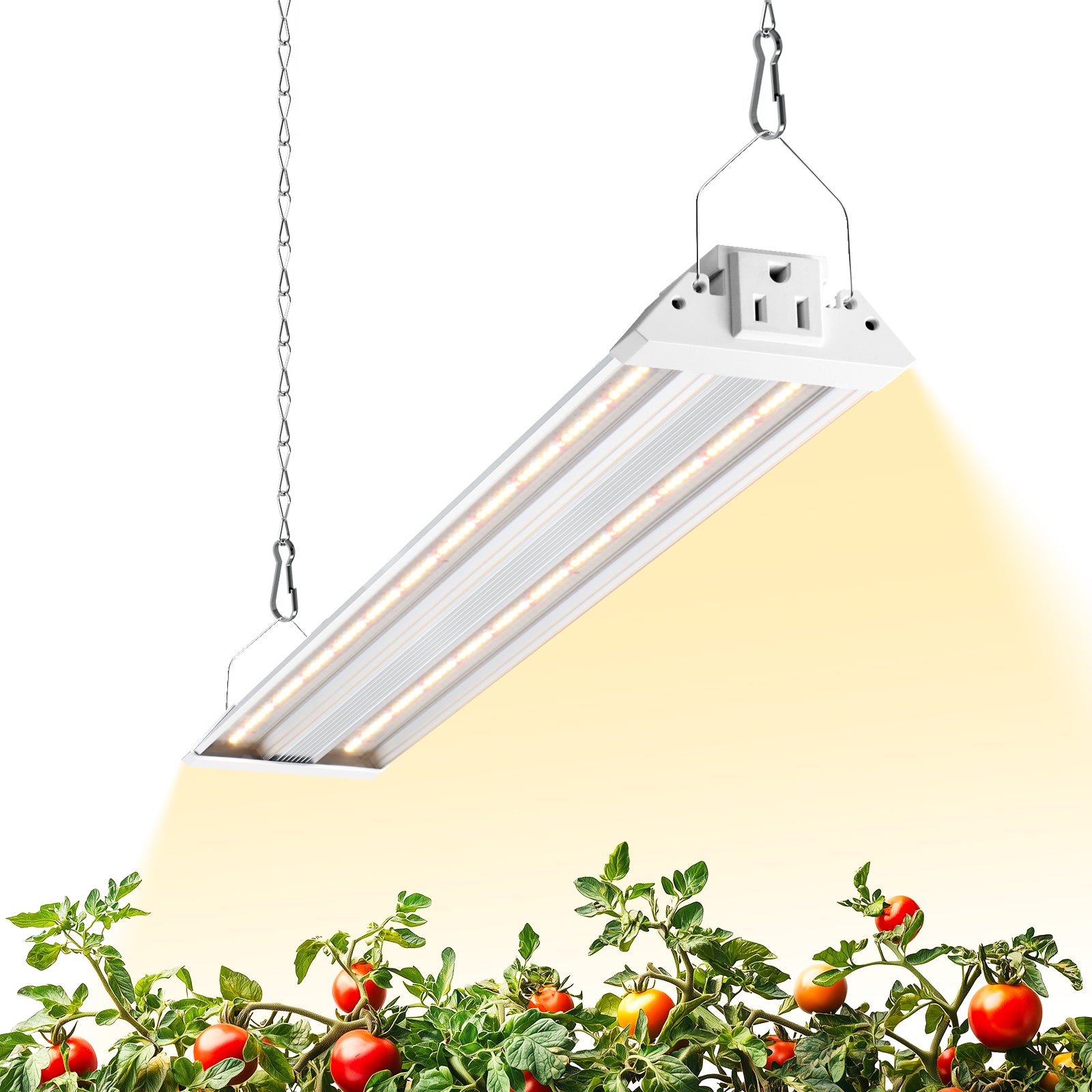 Barrina TX36 36W LED Grow Lights 2FT 3000K+6500K+660nm | Full Spectrum & Linkable | TXPL36