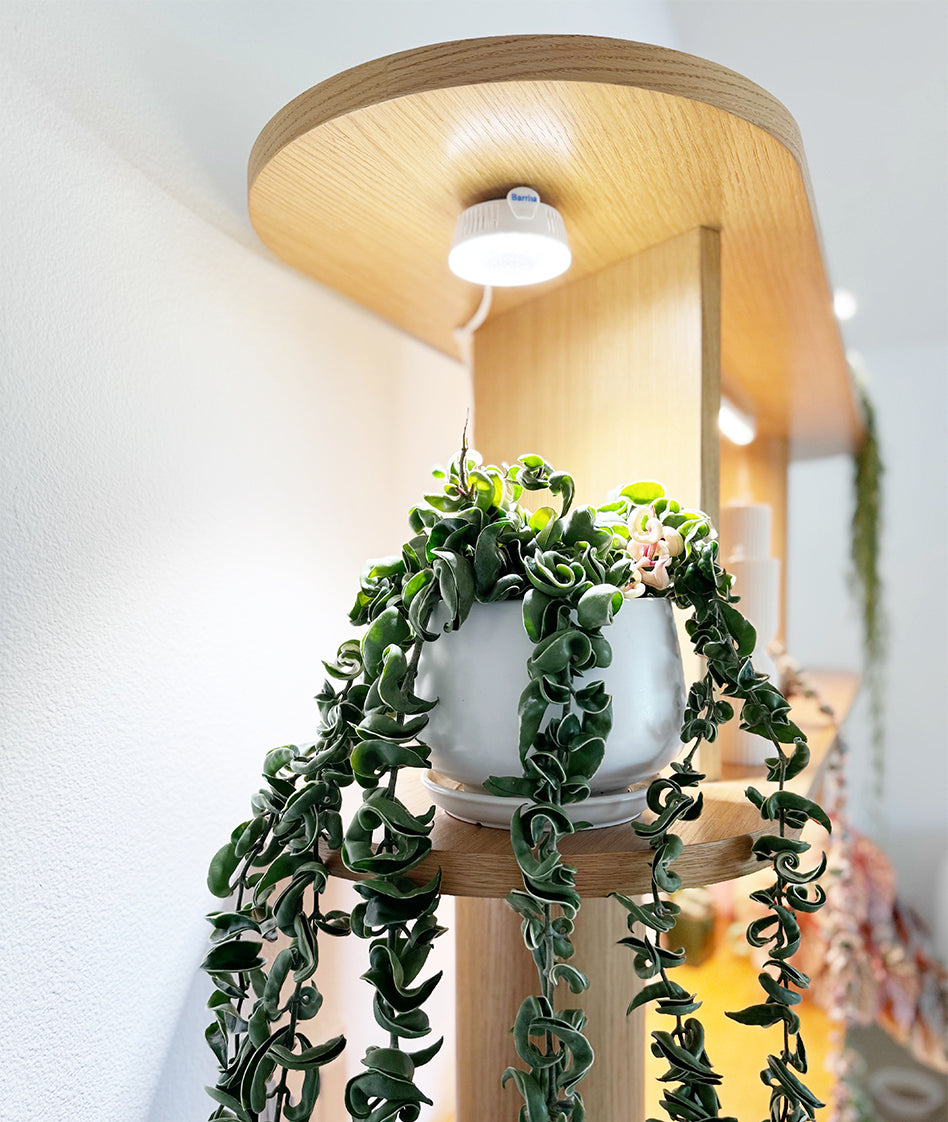 Grow Lights for Indoor Plants | Barrina Orbgrow Series Puck Grow Lights