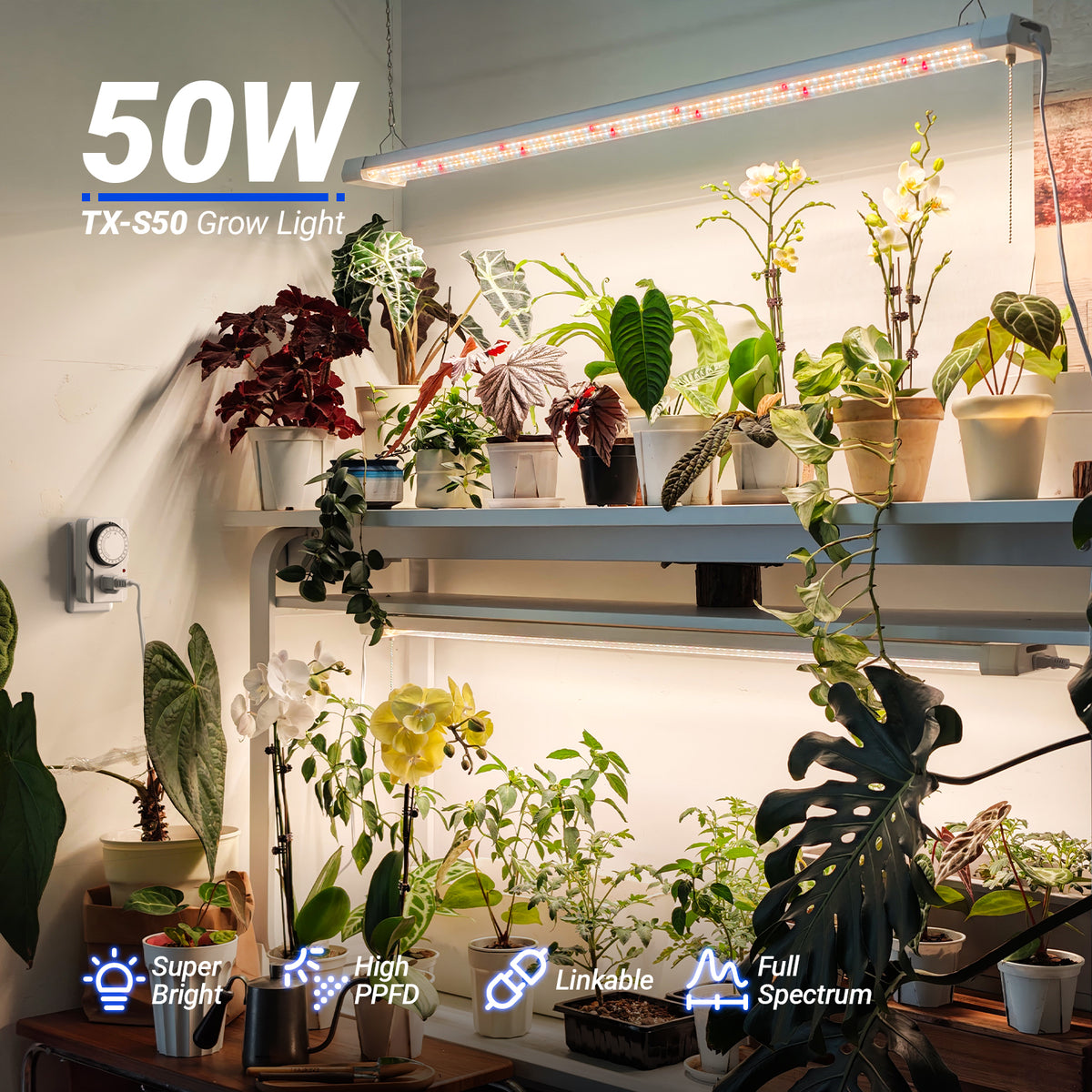 Barrina TX-S50 50W LED Grow Lights 4FT 3000K+6500K+660nm | Full Spectrum & Linkable | TX-L84