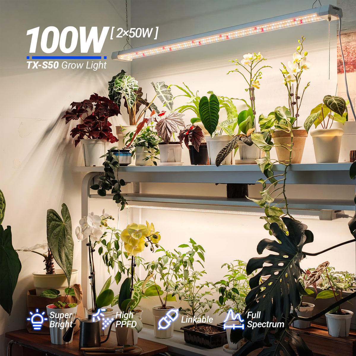 Barrina TX-S50 50W LED Grow Lights 4FT 3000K+6500K+660nm | Full Spectrum & Linkable | TX-L84