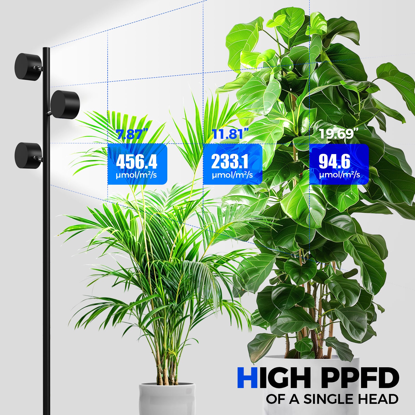 Barrina T1X3 30W LED Standing Grow Light 6FT 5000K | Full Spectrum & Adjustable 3 Heads | T1X3