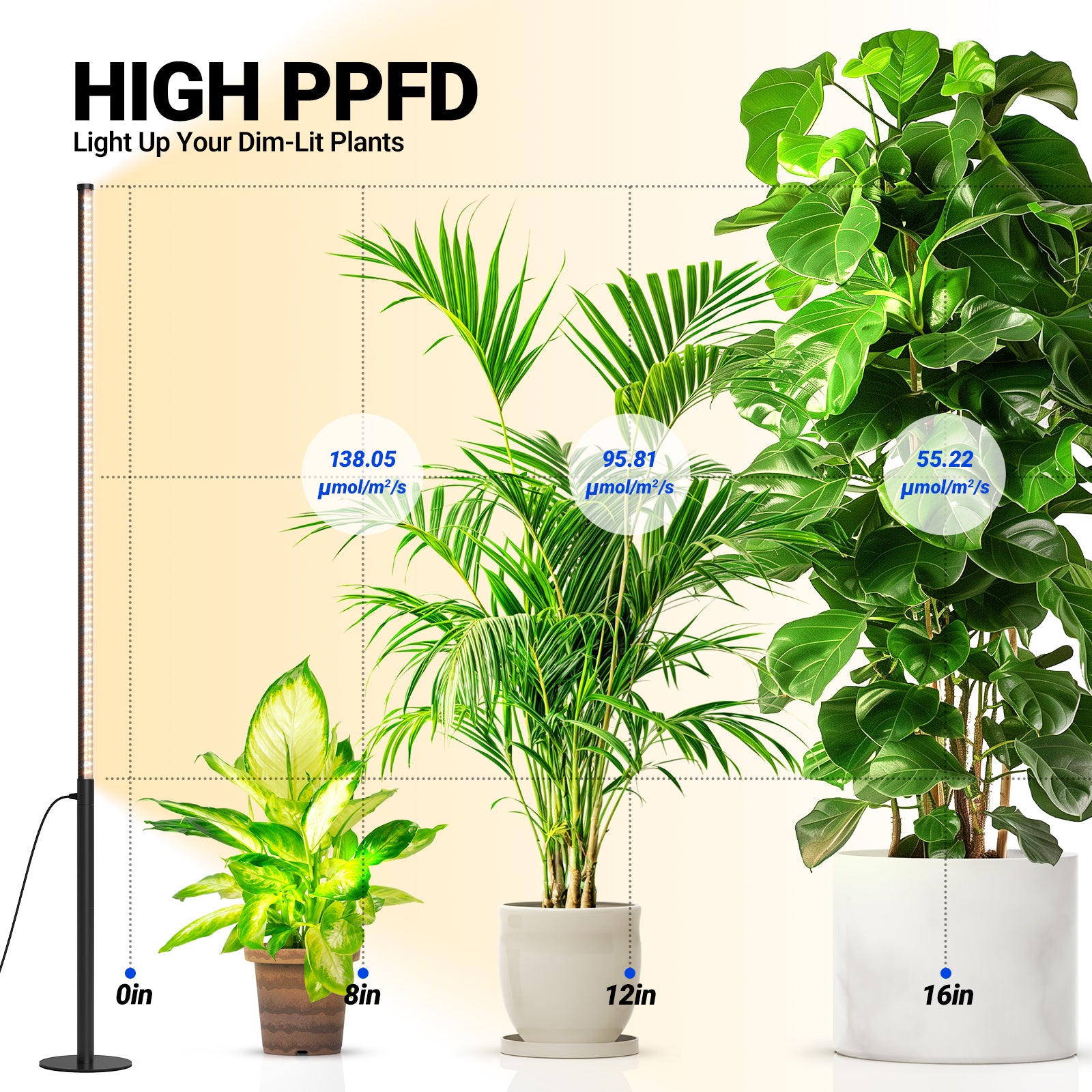 Barrina T10 Pro 42W LED Standing Grow Light 4FT-5.6FT 3000K+6500K+660nm | Full Spectrum & Timer | T1042
