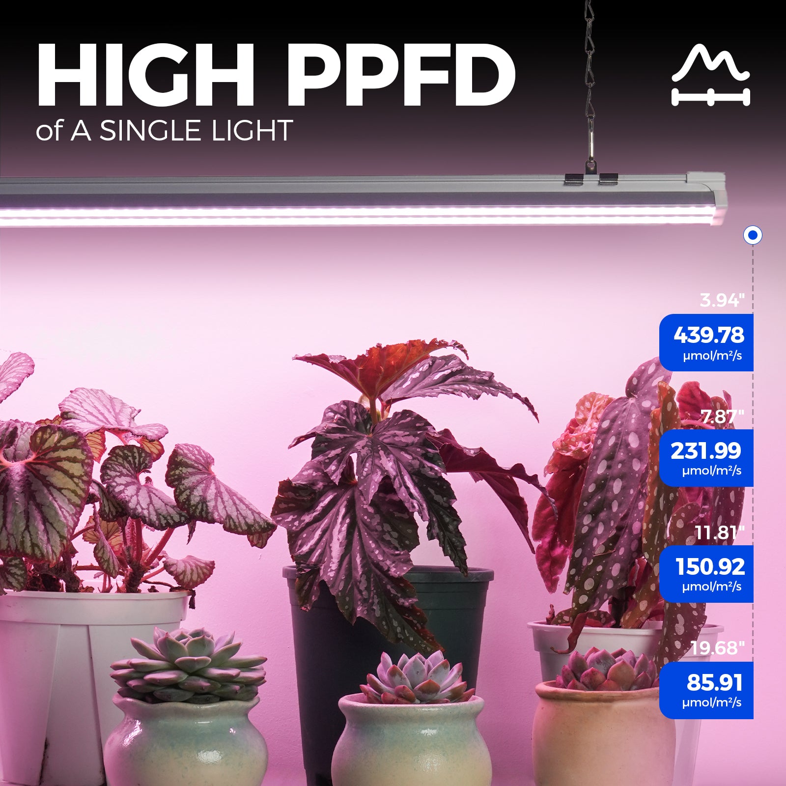 Barrina TX-S60 60W LED Grow Lights 4FT Pink Light | Full Spectrum & Linkable | TX-S60