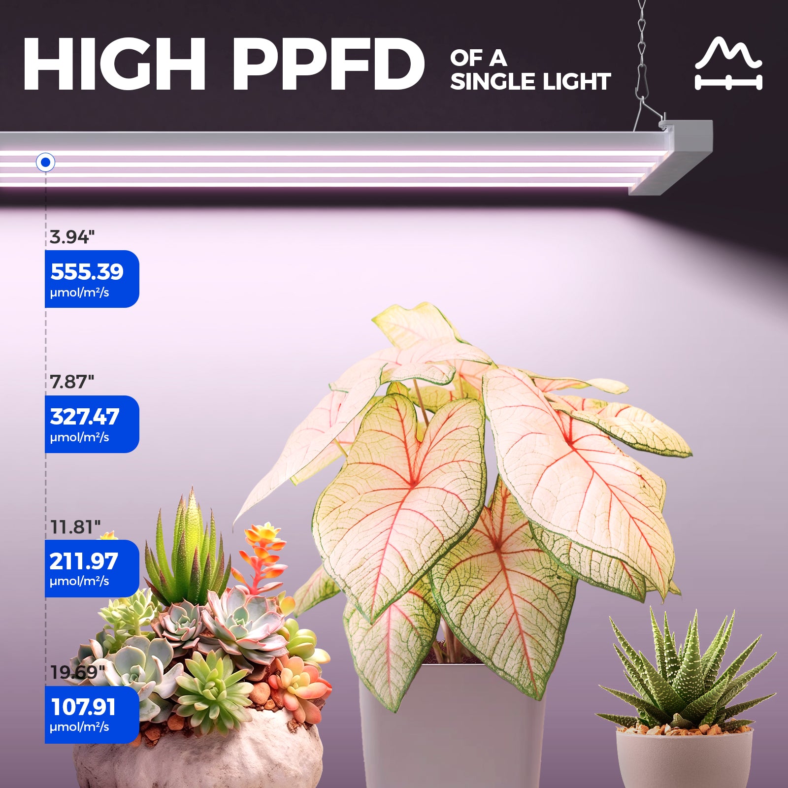 Barrina TX-L63 63W LED Grow Lights 3FT Pinkish White | Full Spectrum & Linkable | TX-L63