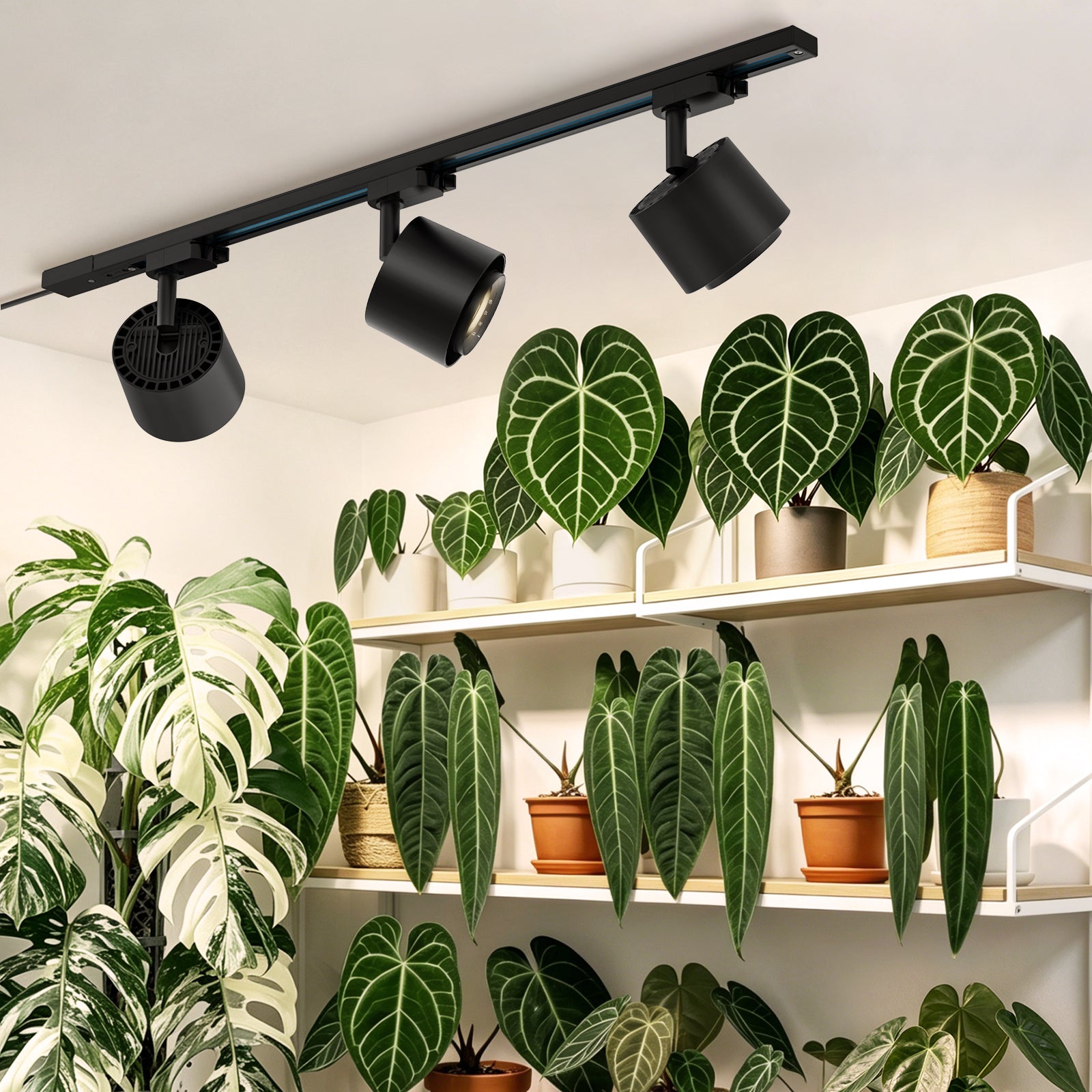 Barrina TR40c 3 x 40W LED Track Grow Lights 4000K | Full Spectrum, Ceiling Track & Timer | TR40c (Black)