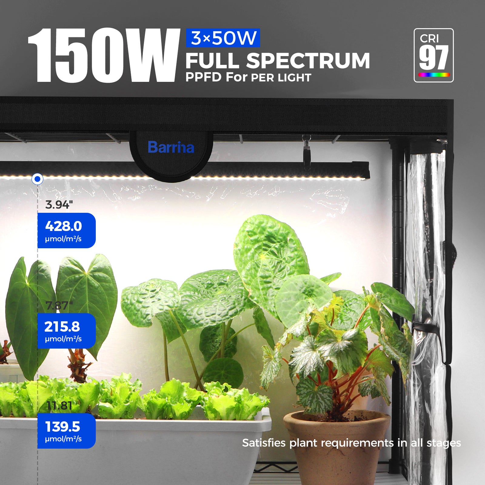 Barrina LP1200 Greenhouse with 3-Pack 50W TX-S50 Grow Lights 3.2FT 5000K | Full Spectrum, Tent, Thermo-Hygrometer & Timer | LP1200