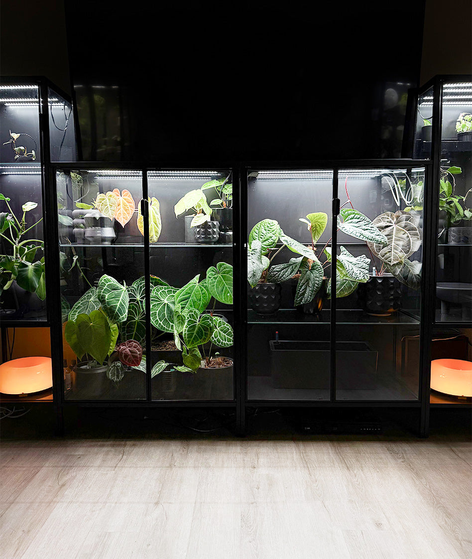 Best Under Cabinet Grow Light | Barrina T5 Series Grow Lights