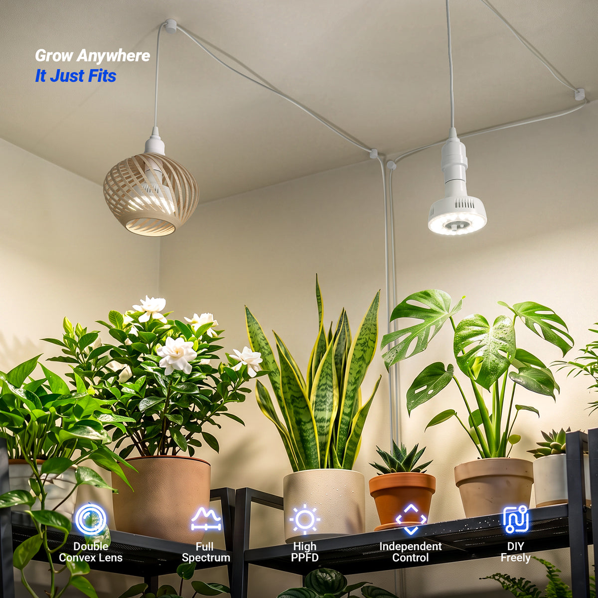 Barrina Orbgrow 11W LED Grow Light Bulb 4000K | Full Spectrum,Dimmable,Timer & E26 Base | OG11D (White)