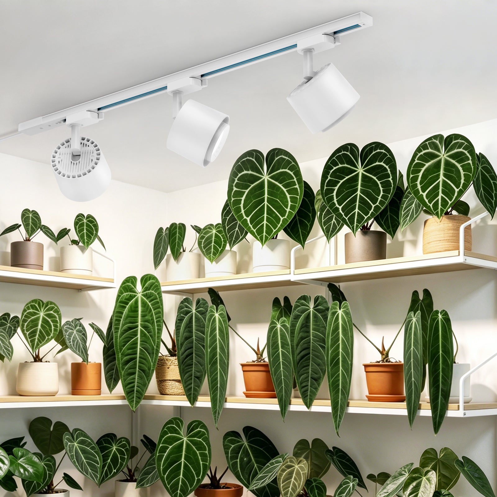 Barrina TR40c 3 x 40W LED Track Grow Lights 5000K | Full Spectrum, Ceiling Track & Timer | TR40c (White)