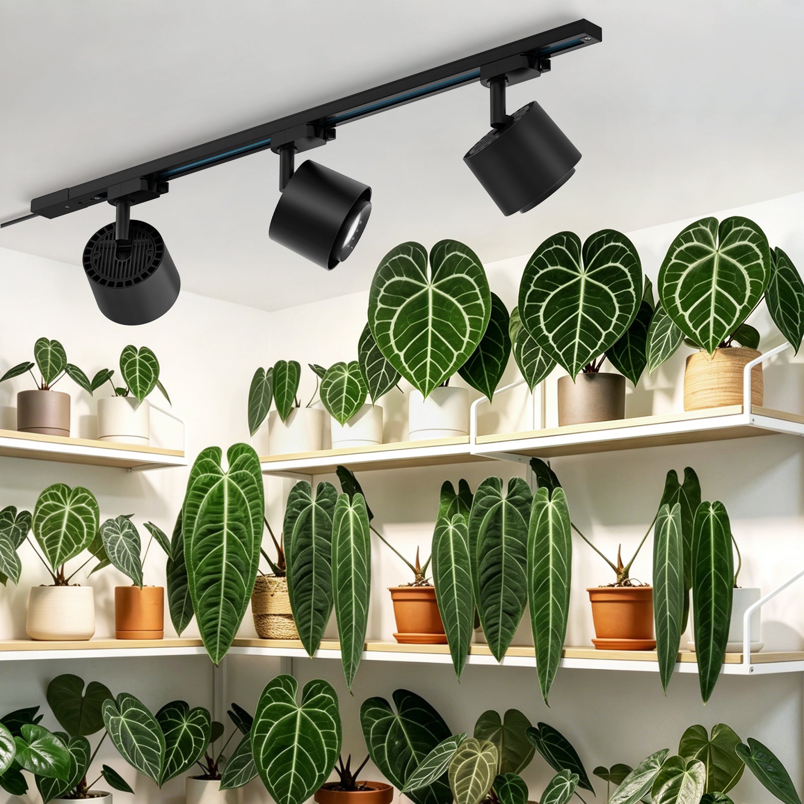 Barrina TR40c 3 x 40W LED Track Grow Lights 5000K | Full Spectrum, Ceiling Track & Timer | TR40c (Black)