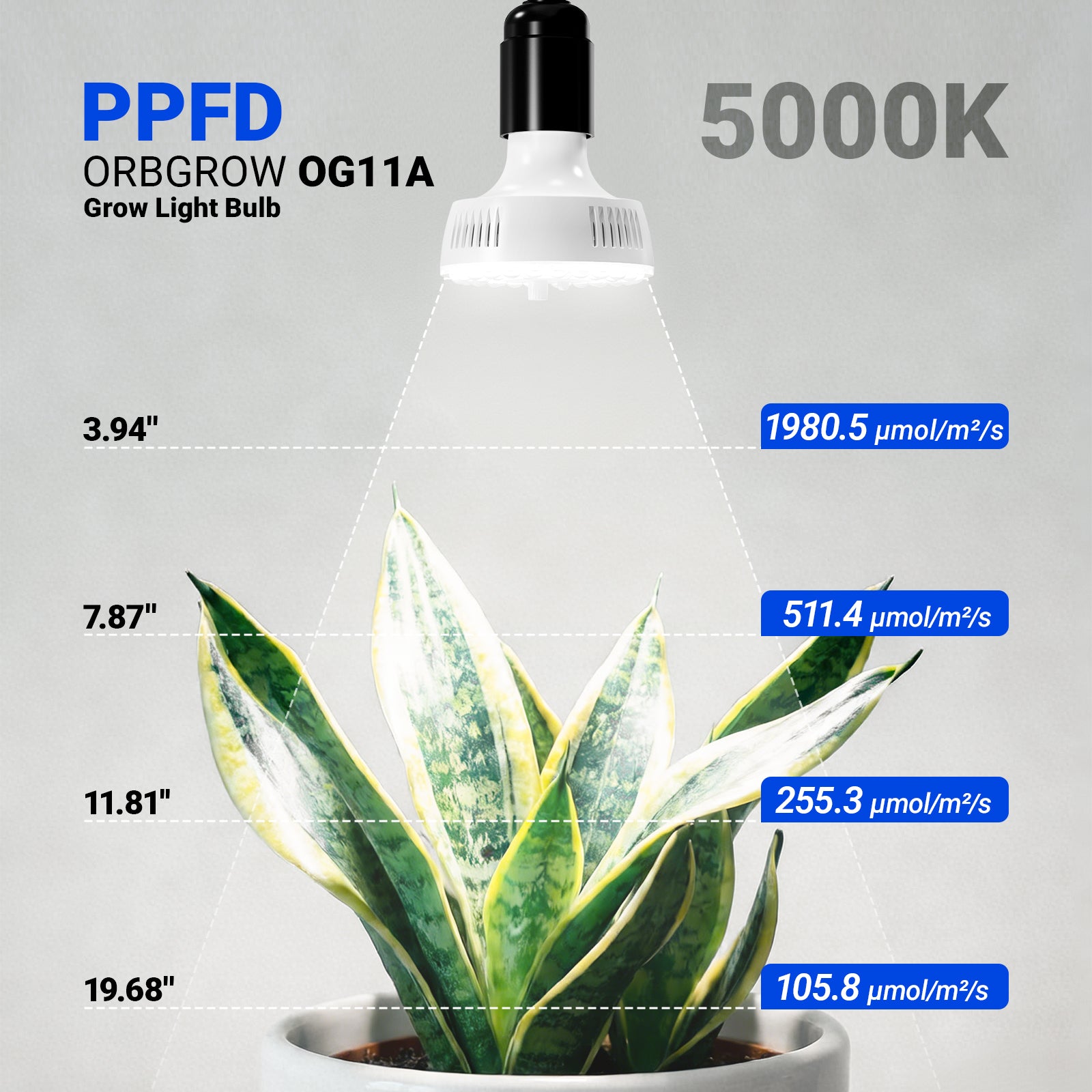 Barrina Orbgrow 3 x 11W Clip-On LED Grow Lights 5000K | Full Spectrum, Dimmable & Timing | OG11A