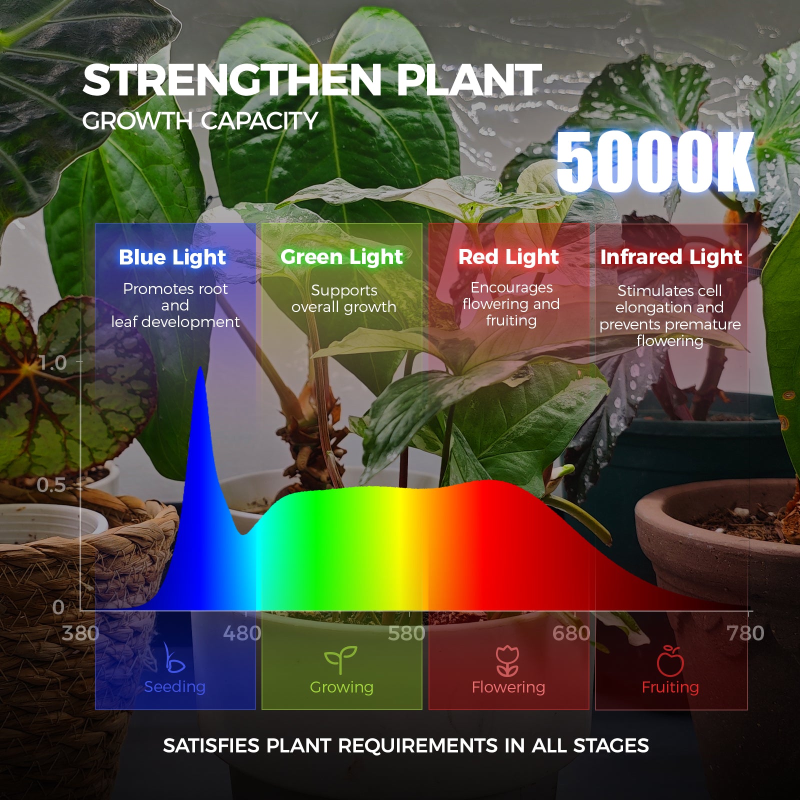 Barrina LP600 Greenhouse with 4-Pack 25W TX-S25 Grow Lights 1.6FT 5000K | Full Spectrum, Tent, Thermo-Hygrometer & Timer | LP600