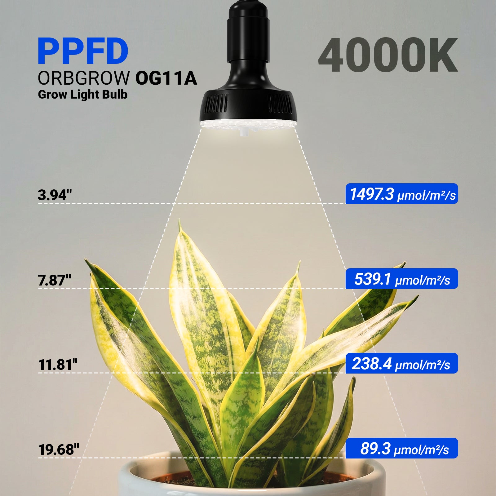 Barrina Orbgrow 2 x 11W Clip-On LED Grow Lights 4000K | Full Spectrum, Dimmable & Timing | OG11A2