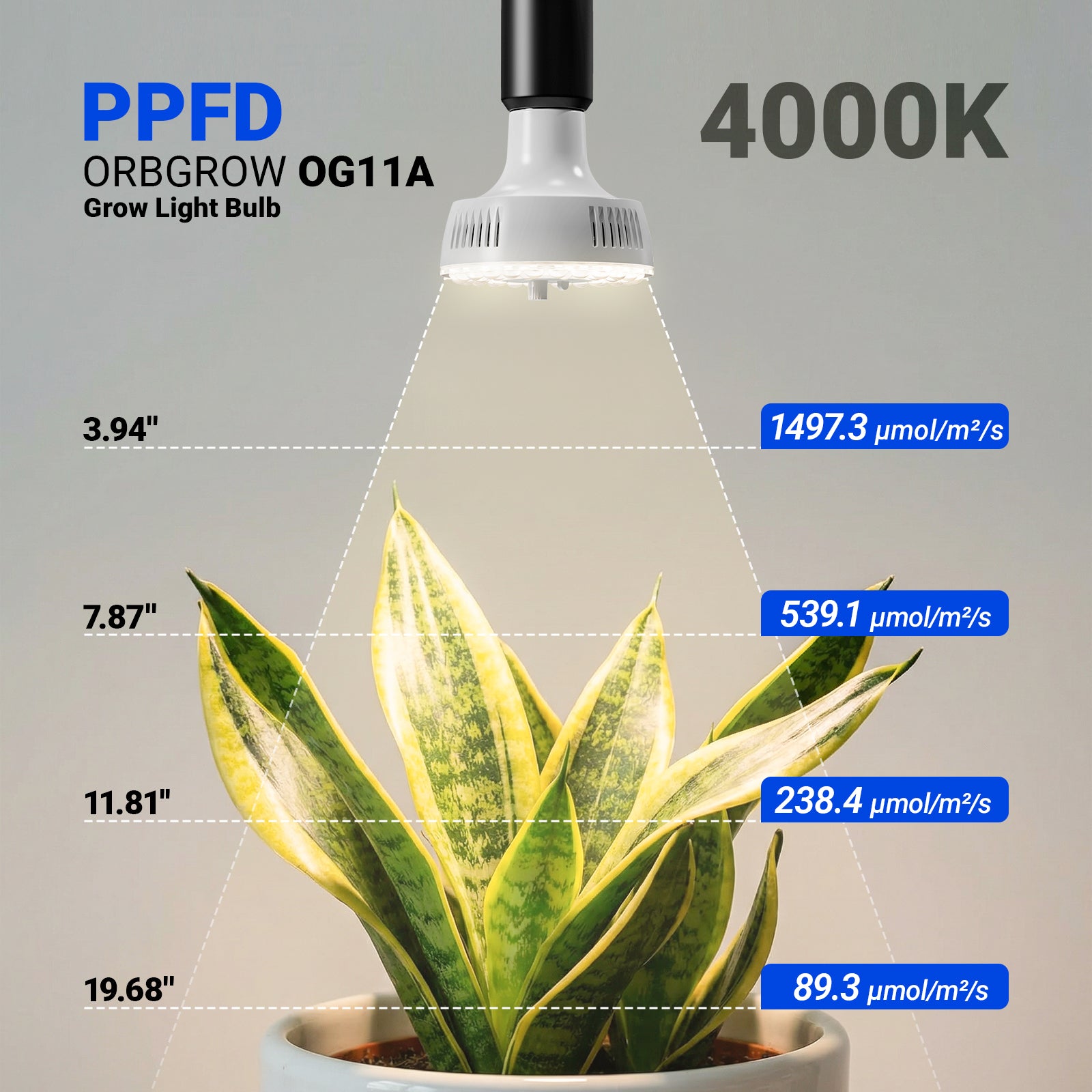 Barrina Orbgrow 11W LED Grow Light Bulb 4000K | Full Spectrum, Dimmable, Timer & E26 Base | OG11A (White)