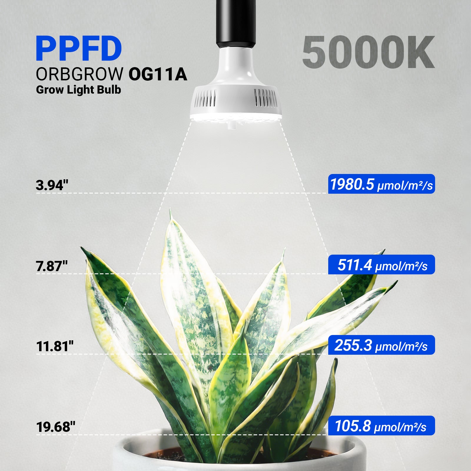 Barrina Orbgrow 11W LED Grow Light Bulbs 5000K | Full Spectrum, Dimmable, Timer & E26 Base | OG11A (White)