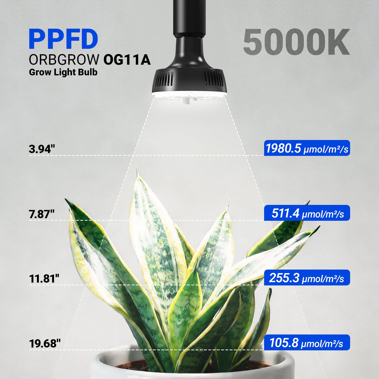 Barrina Orbgrow 11W LED Grow Light Bulb 5000K | Full Spectrum, Dimmable, Timer & E26 Base | OG11A (Black)